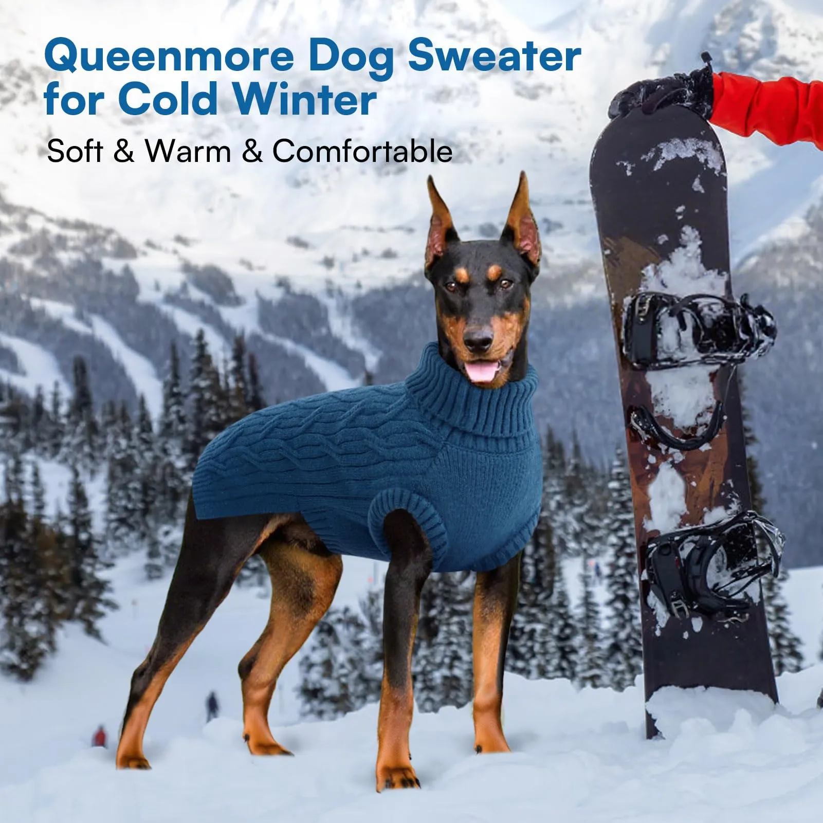 Queenmore Maglione Per Bassotto - Maglioncino Cane Taglia Media, Dolcevita - immagine 5