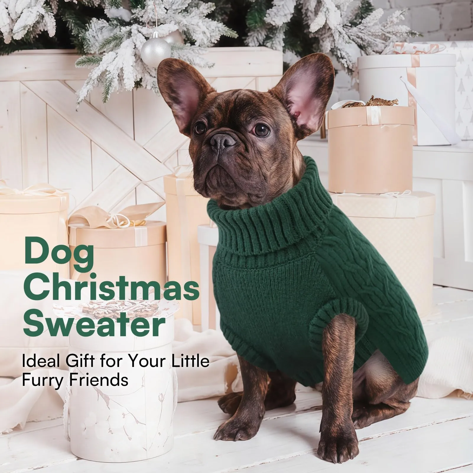 Queenmore Maglione Cane Taglia Media - Maglioncino con Dolcevita Morbido - immagine 6