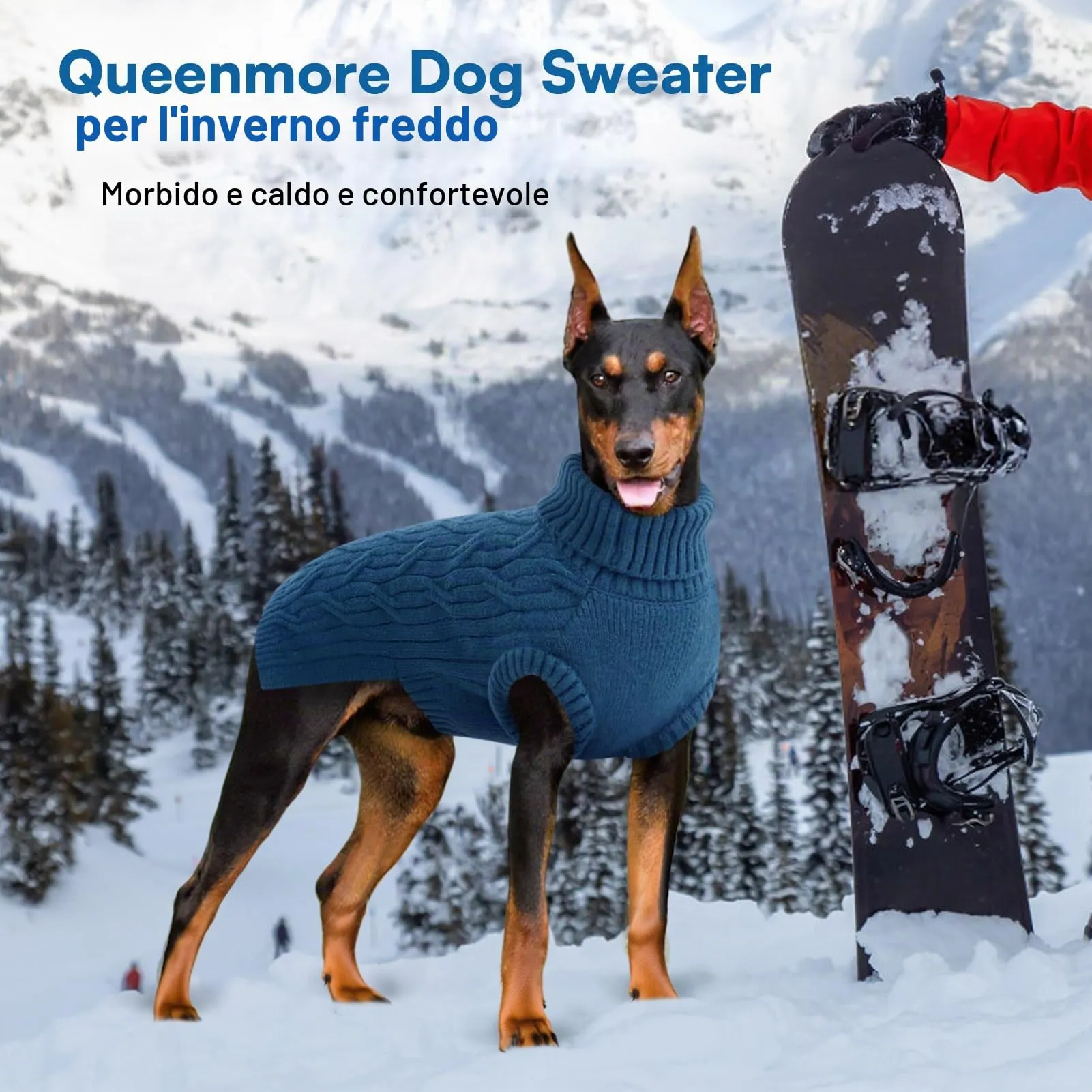Queenmore Maglioncino Per Cani Piccoli - Vestiti Per Cani, Felpa Elastica - immagine 5