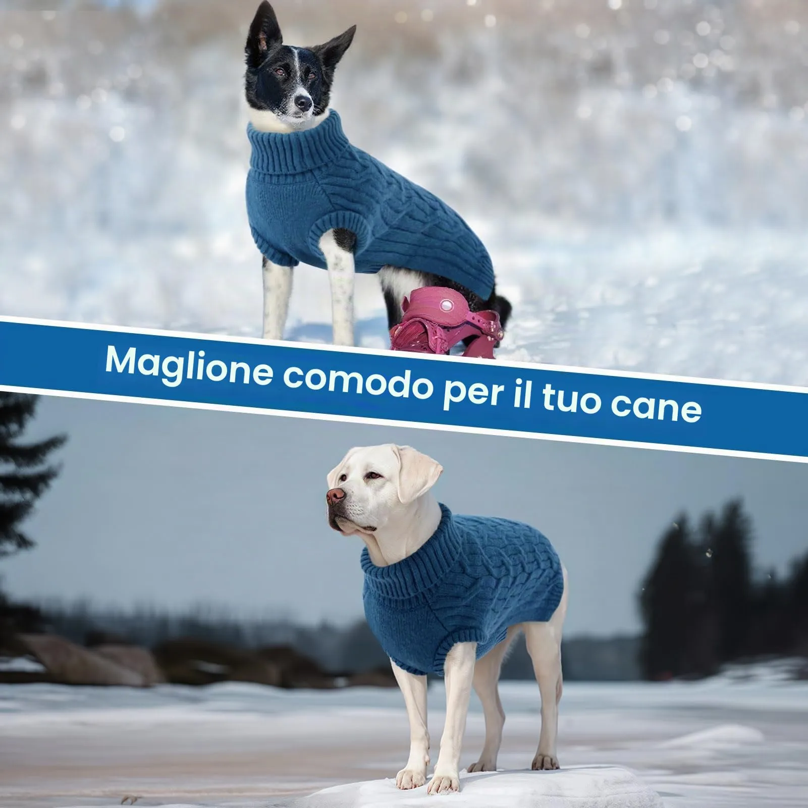 Queenmore Maglioncino Per Cani Piccoli - Vestiti Per Cani, Felpa Elastica - immagine 7