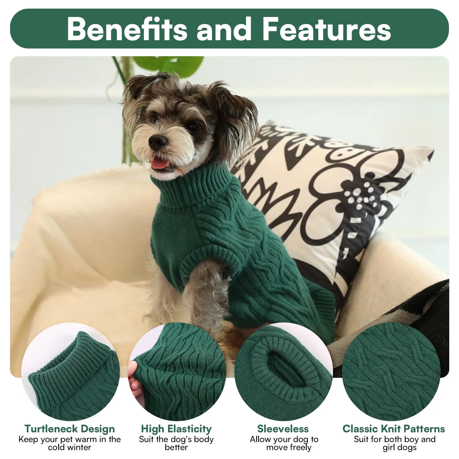 Queenmore Maglioncino Cane XS Maglioncino Cane Piccolo, Morbido Dolcevita - immagine 4