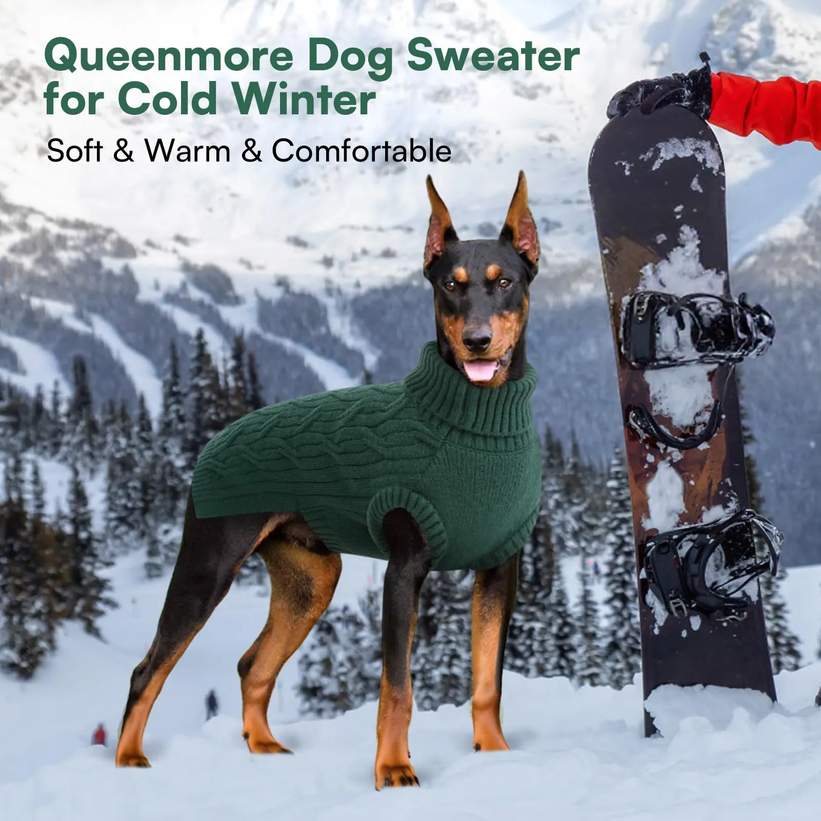 Queenmore Maglioncino Cane XS Maglioncino Cane Piccolo, Morbido Dolcevita - immagine 5