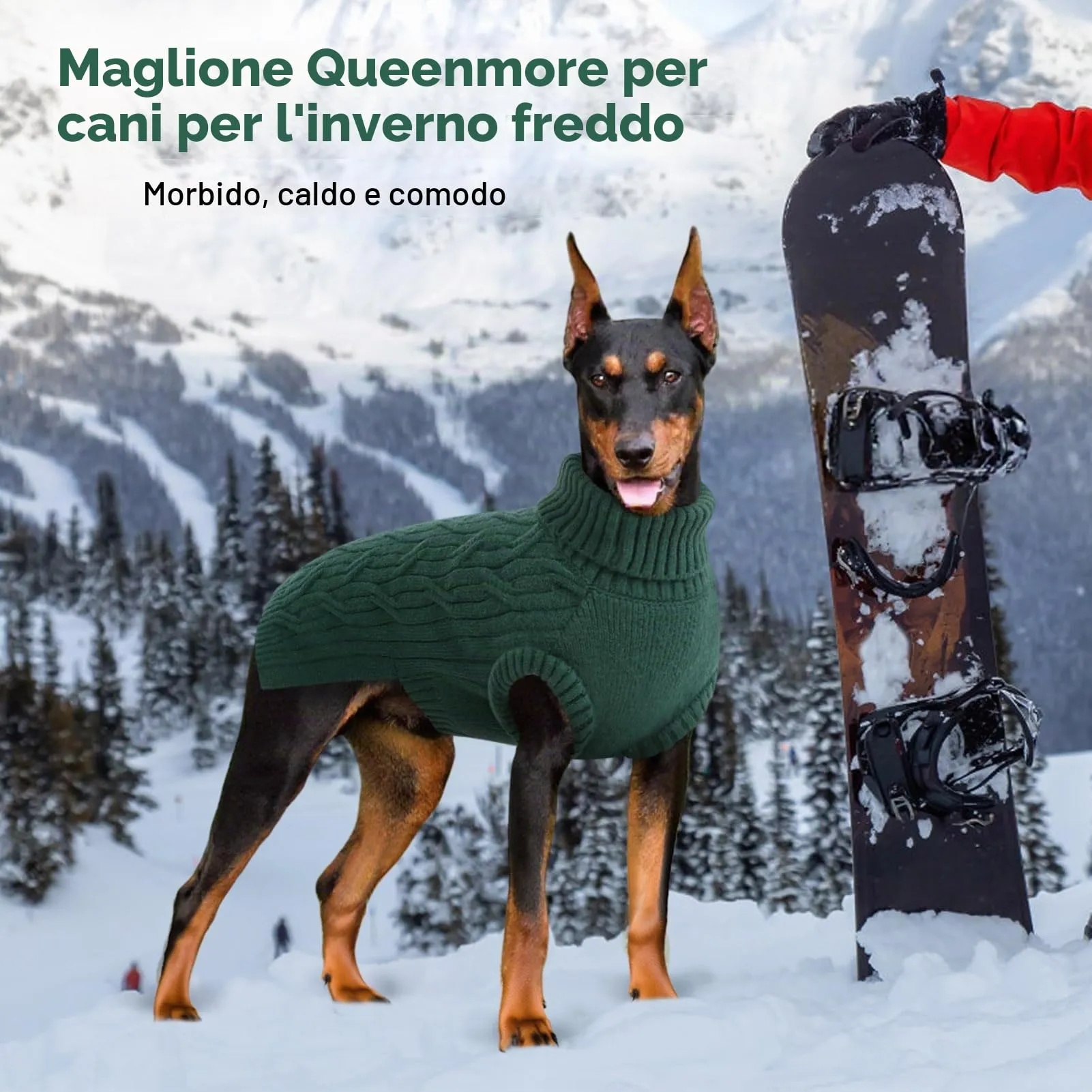 Queenmore Felpa Cane Piccola Vestito Cane Maglioncino Elastico a Dolcevita - immagine 5