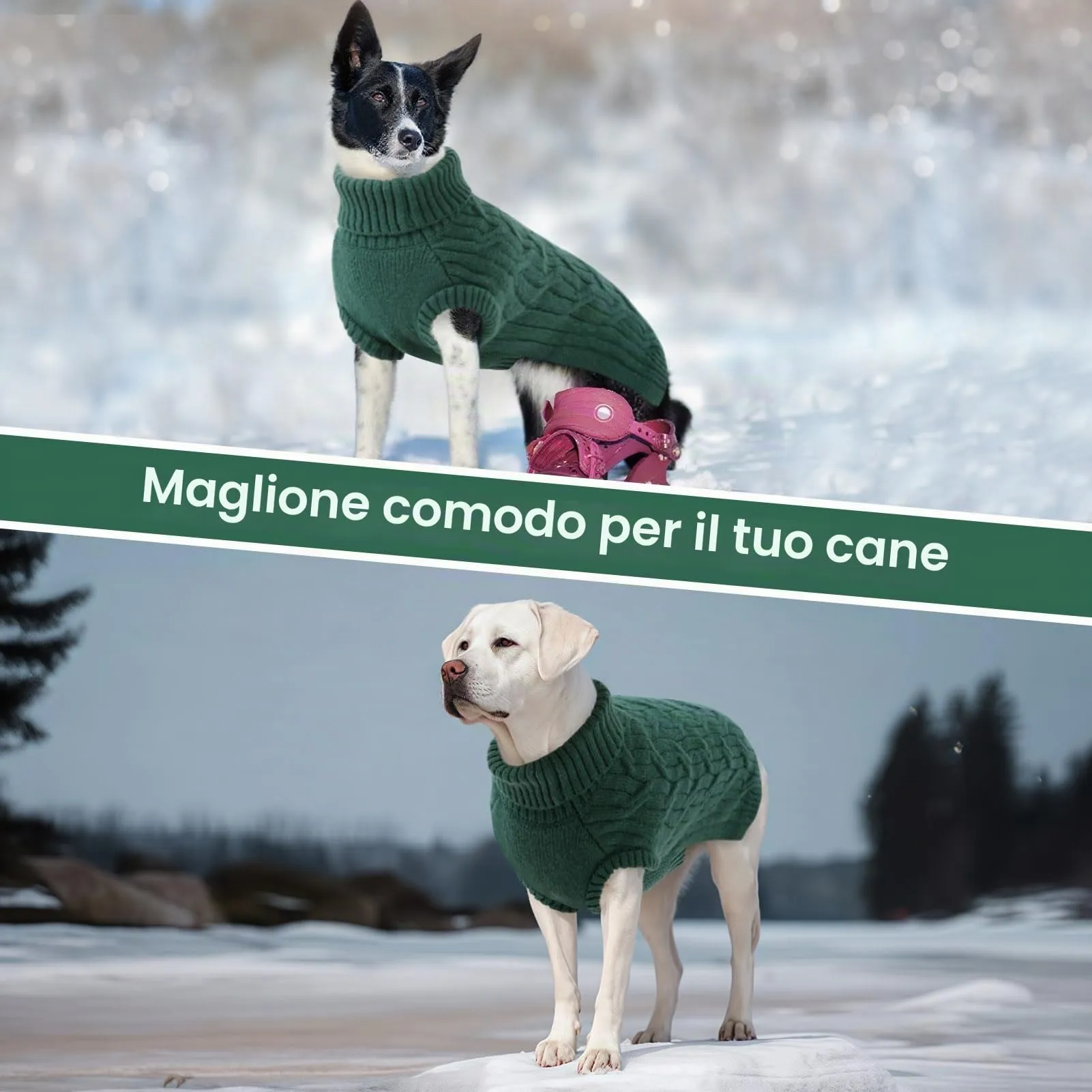 Queenmore Felpa Cane Piccola Vestito Cane Maglioncino Elastico a Dolcevita - immagine 7
