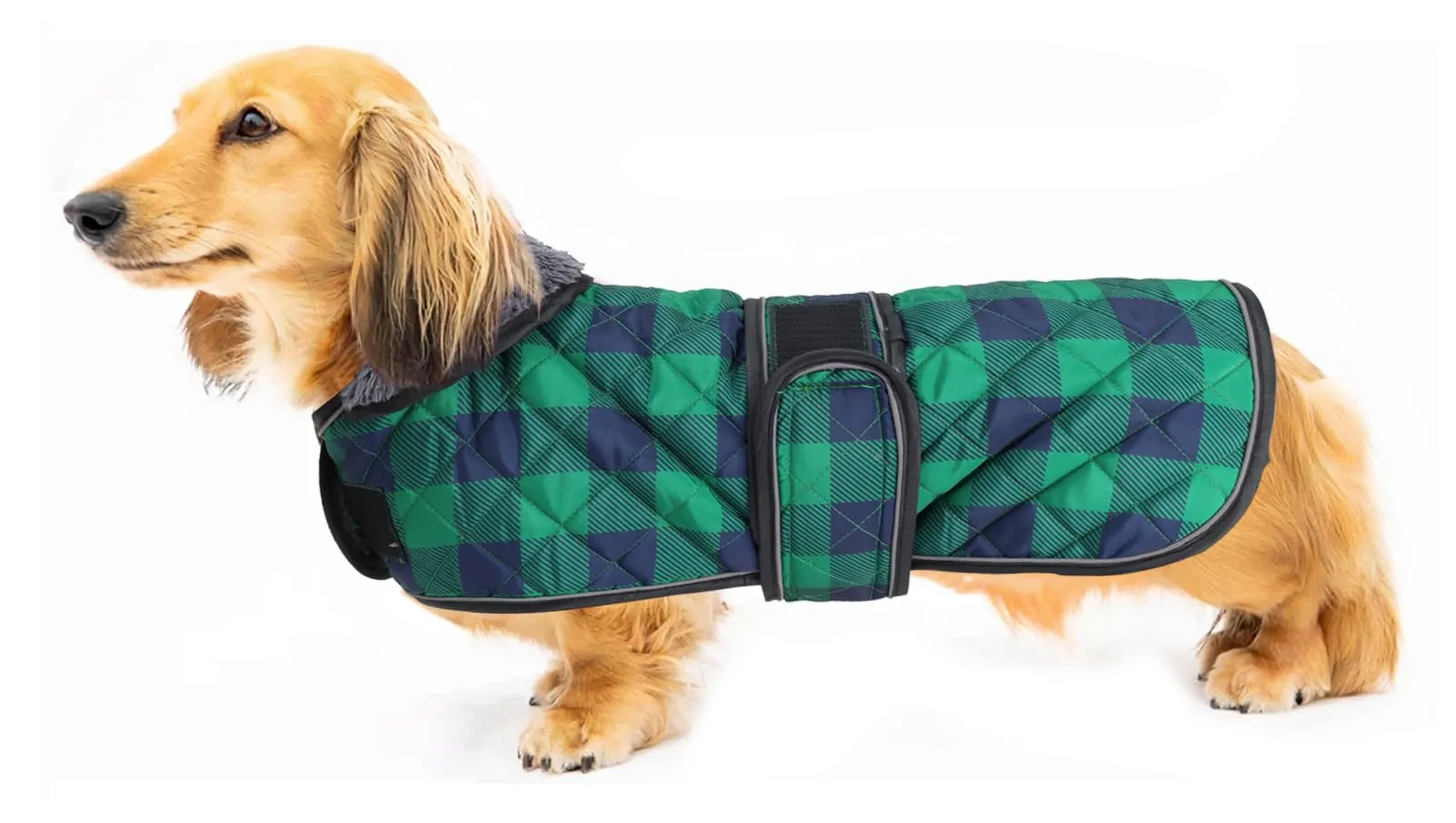 Geyecete Impermeabile caldo termico trapuntato bassotto cappotto con calda fodera in pile all'interno, abbigliamento per cani all'aperto con fasce regolabili cane-verde-S - immagine 1