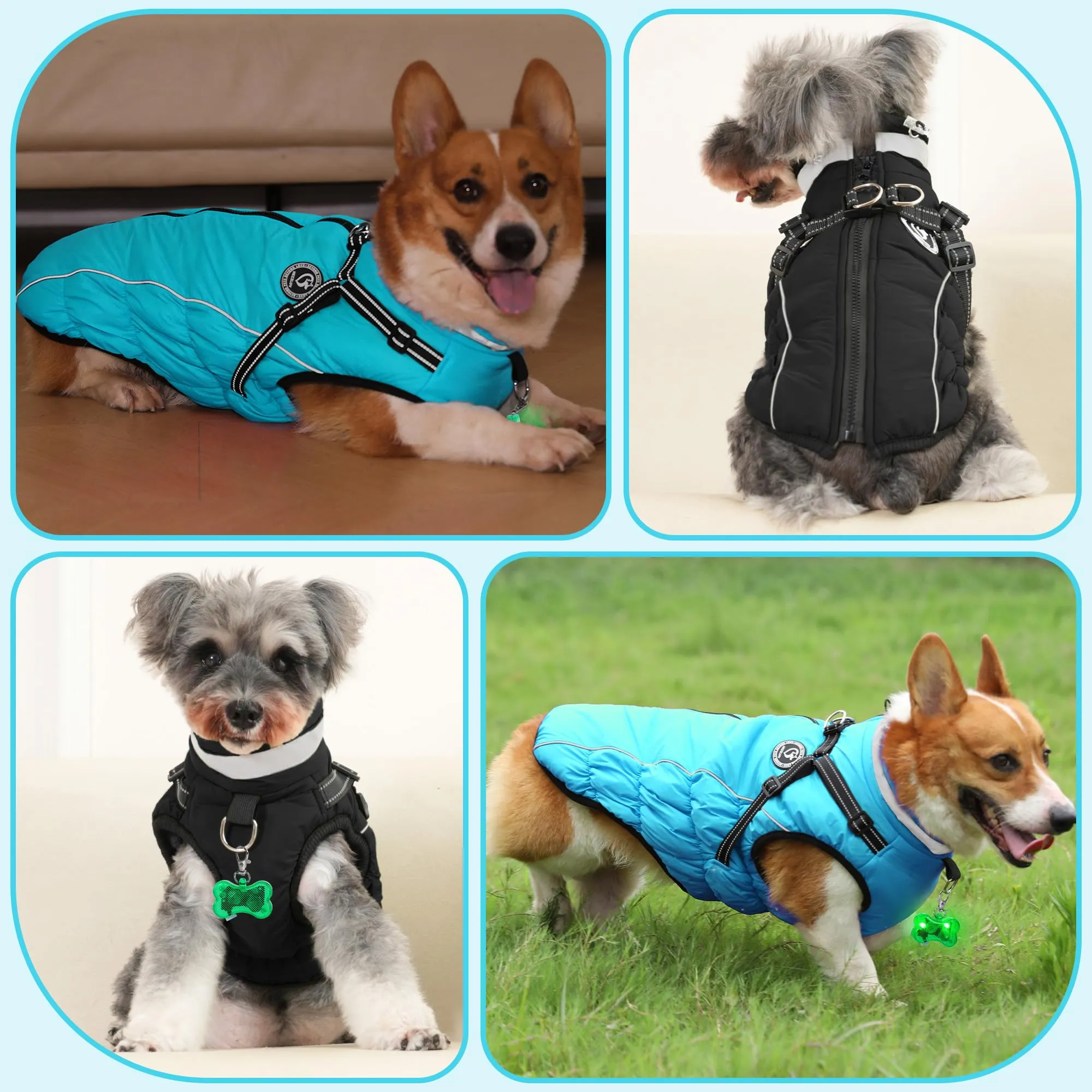 HezzLuv Giubbotto Invernale per Cani Impermeabile con Pettorina, Strisce Riflettenti & Collare LED, Foderato in Pile, Antivento/Regolabile – Cappotto Caldo per Cani Piccoli e Medi - immagine 6