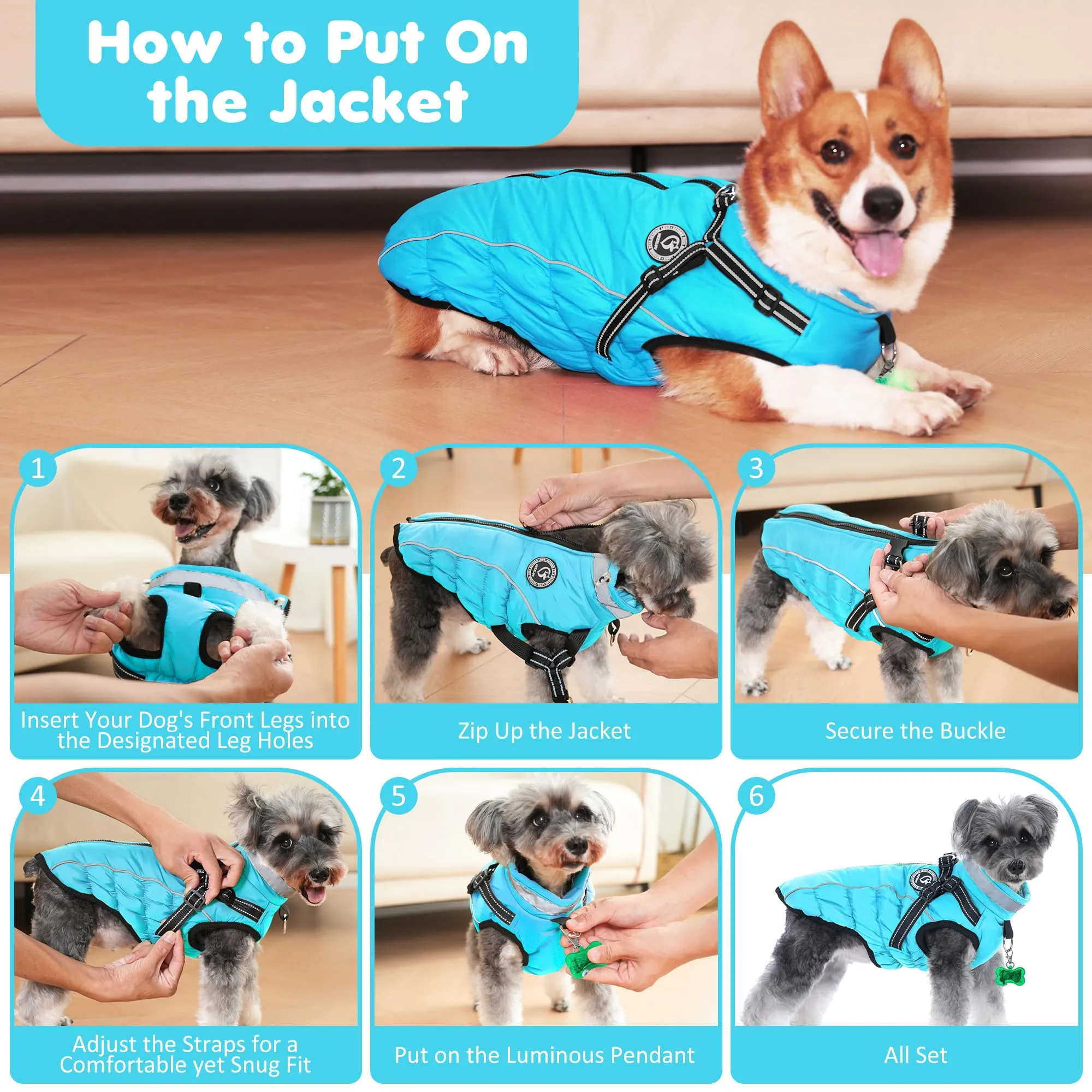 HezzLuv Giubbotto Invernale per Cani Impermeabile con Pettorina, Strisce Riflettenti & Collare LED, Foderato in Pile, Antivento/Regolabile – Cappotto Caldo per Cani Piccoli e Medi - immagine 7