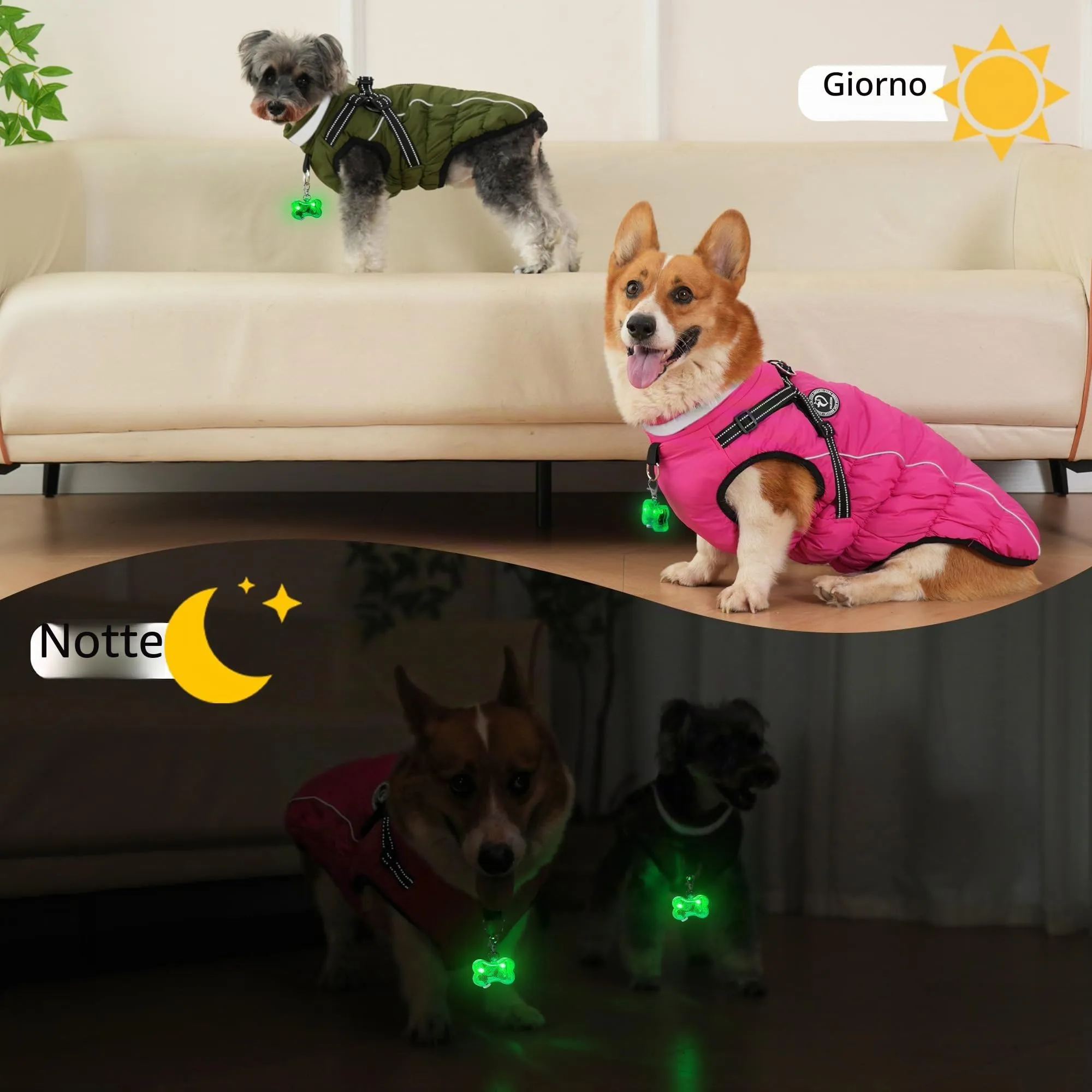 HezzLuv Giubbotto Invernale per Cani Impermeabile con Pettorina, Strisce Riflettenti & Collare LED, Foderato in Pile, Antivento/Regolabile – Cappotto Caldo per Cani Piccoli e Medi - immagine 5