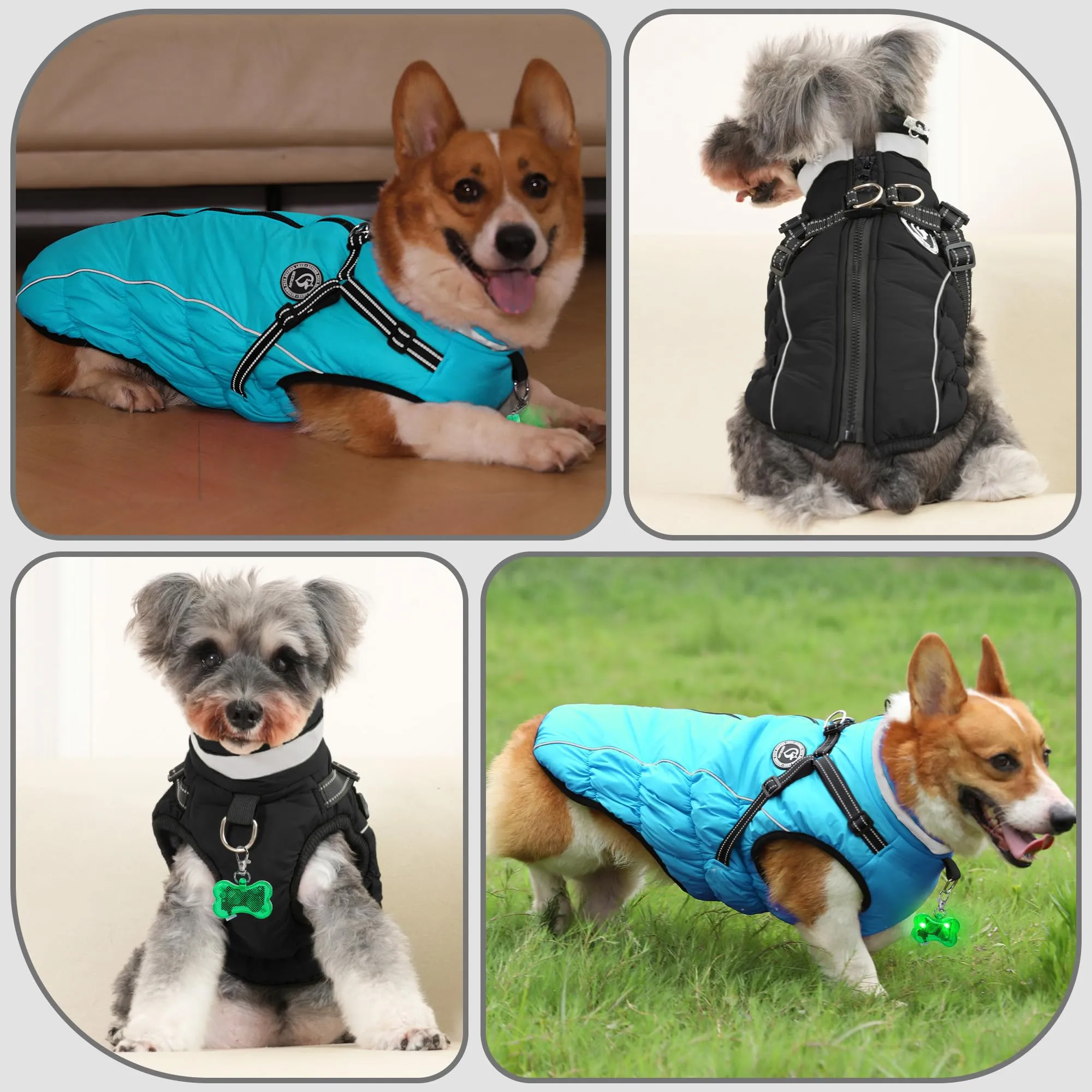 HezzLuv Giubbotto Invernale per Cani Impermeabile con Pettorina, Strisce Riflettenti & Collare LED, Foderato in Pile, Antivento/Regolabile – Cappotto Caldo per Cani Piccoli e Medi - immagine 6