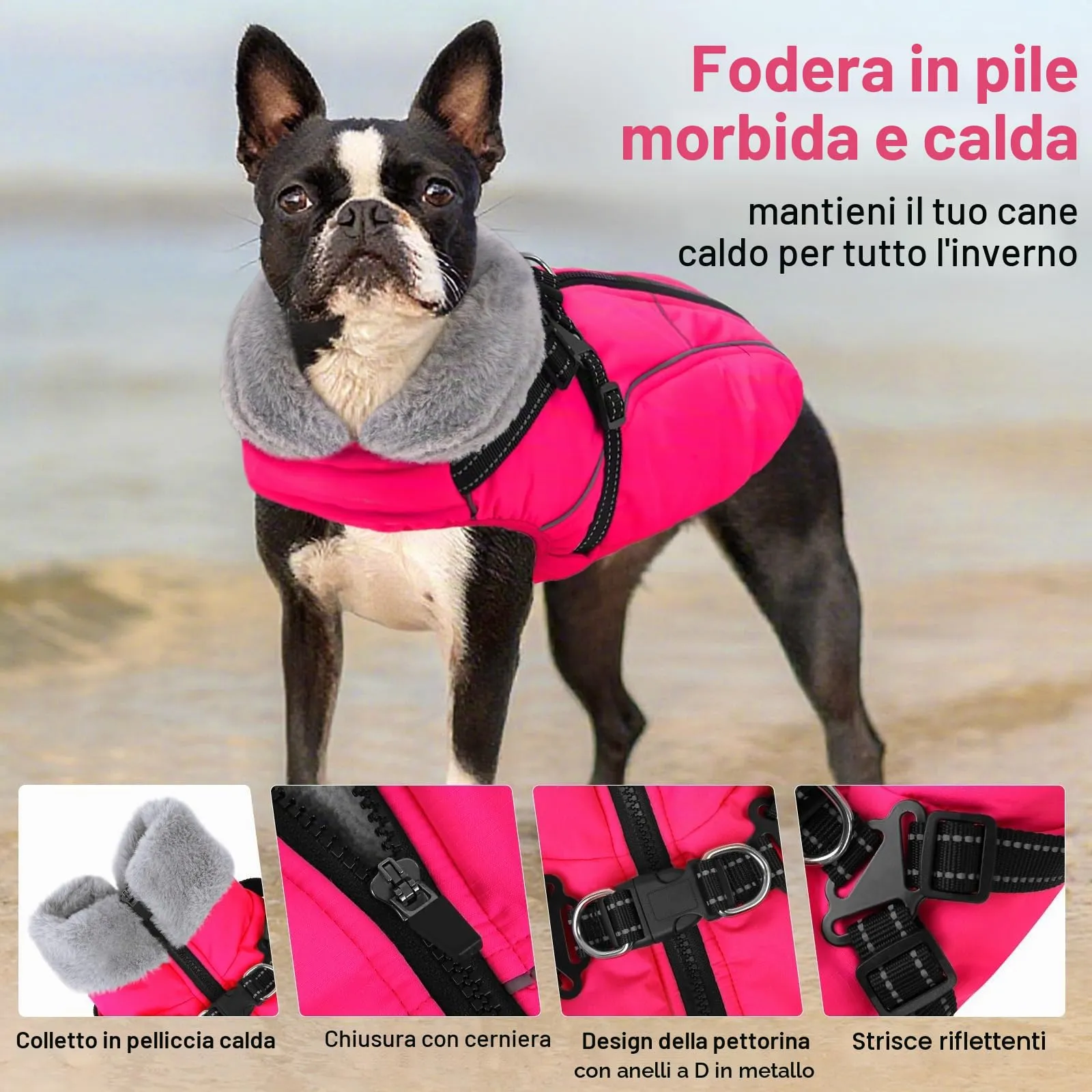 Queenmore Cappottino Cane Taglia Media Impermeabile Antivento - immagine 2