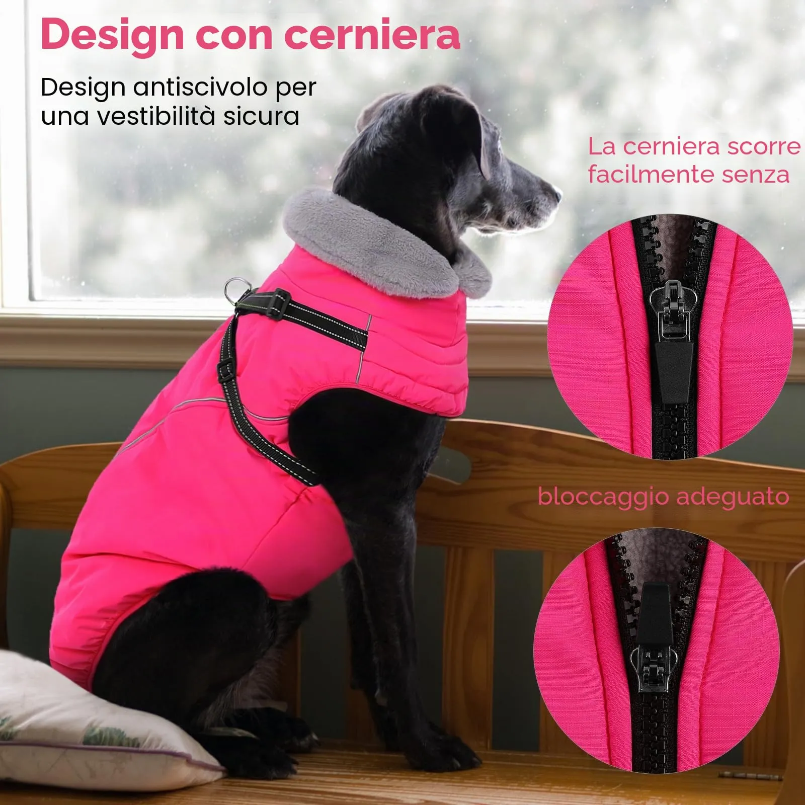 Queenmore Cappottino Cane Taglia Media Impermeabile Antivento - immagine 7