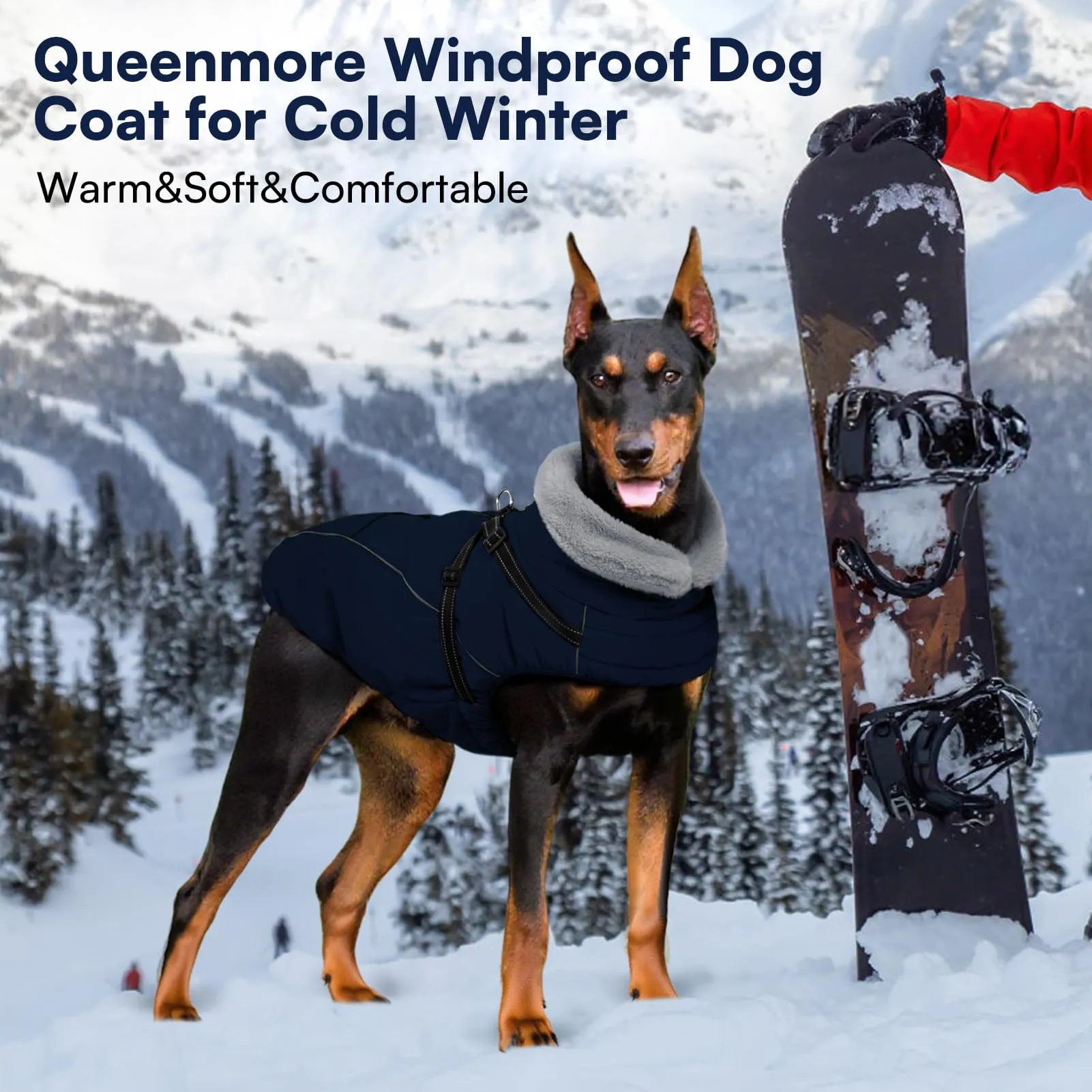 Queenmore Cappotto Cane Taglia Grande XXL, Cappottini Impermeabile - immagine 6