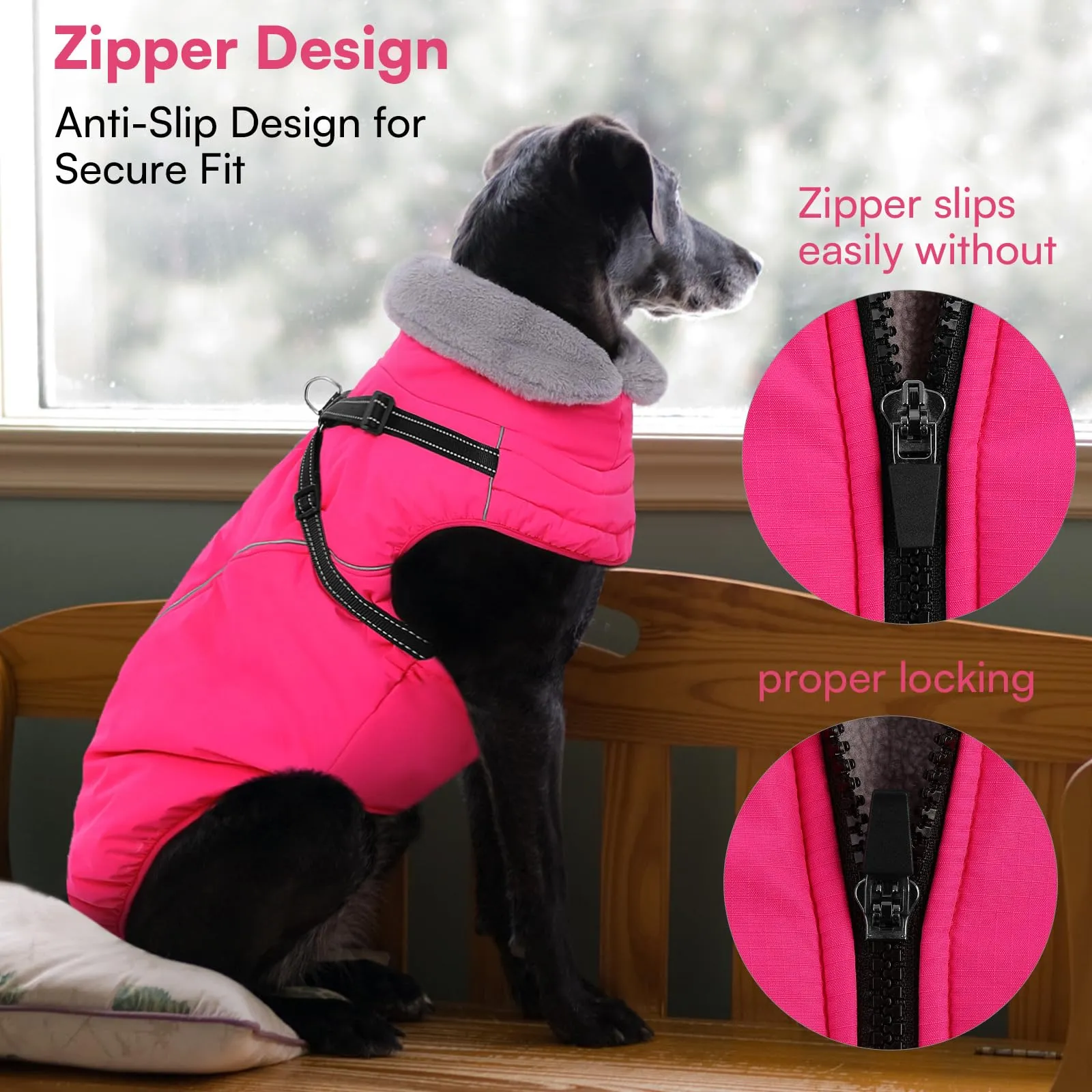 Queenmore Cappotto Cane Taglia Grande Impermeabile, Cappotto per Cani - immagine 7
