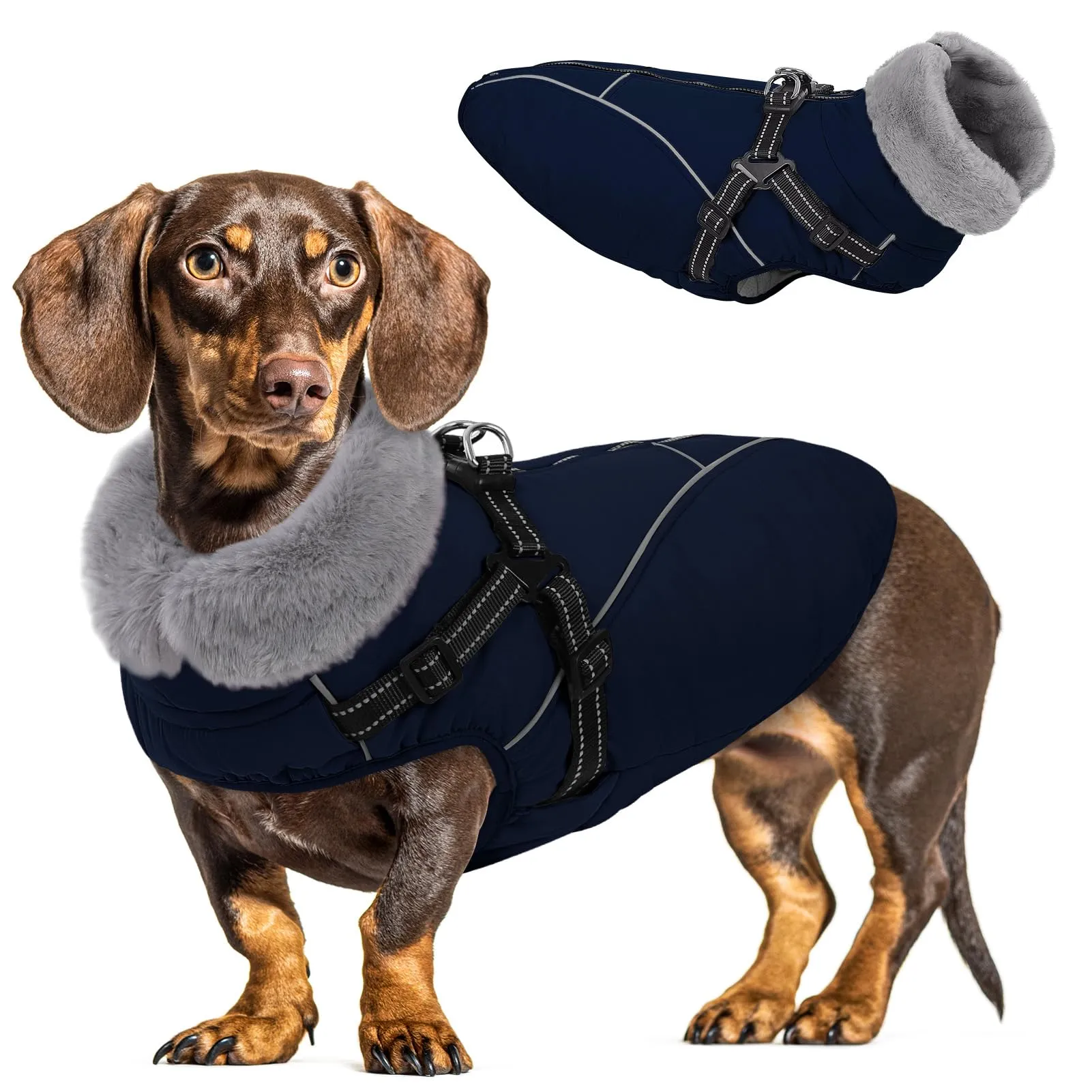 Queenmore Cappotto Cane Taglia Piccola Impermeabile Riflettente con Arnese - immagine 1