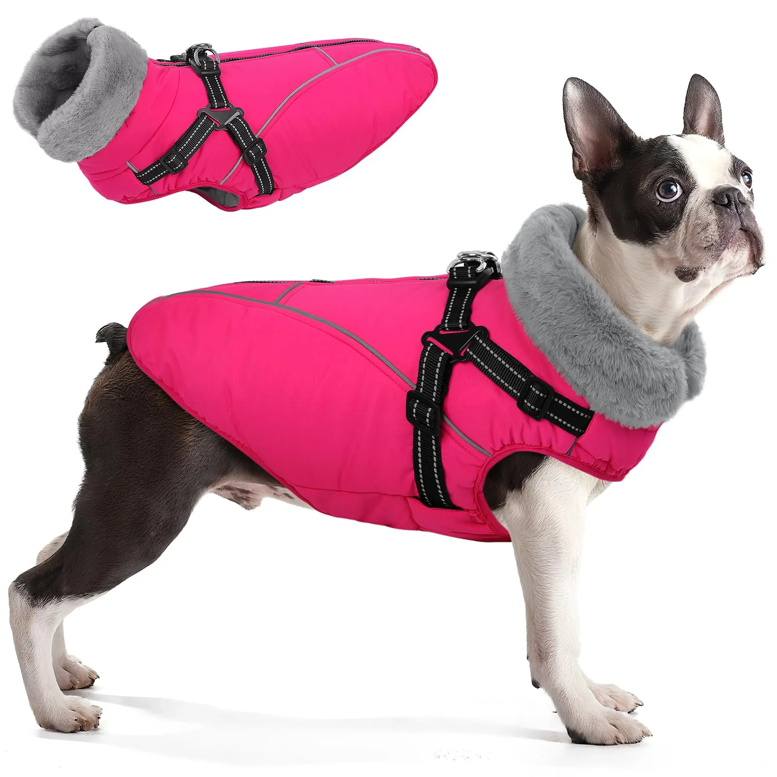 Queenmore Cappotto Impermeabile Cane Caldo, Cappottino Cane Taglia Grande - immagine 1