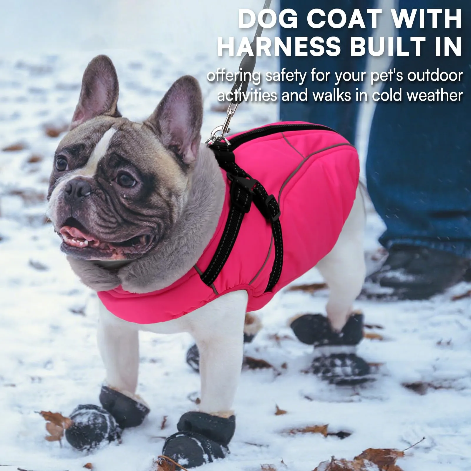 Queenmore Cappotto Impermeabile Cane Caldo, Cappottino Cane Taglia Grande - immagine 4