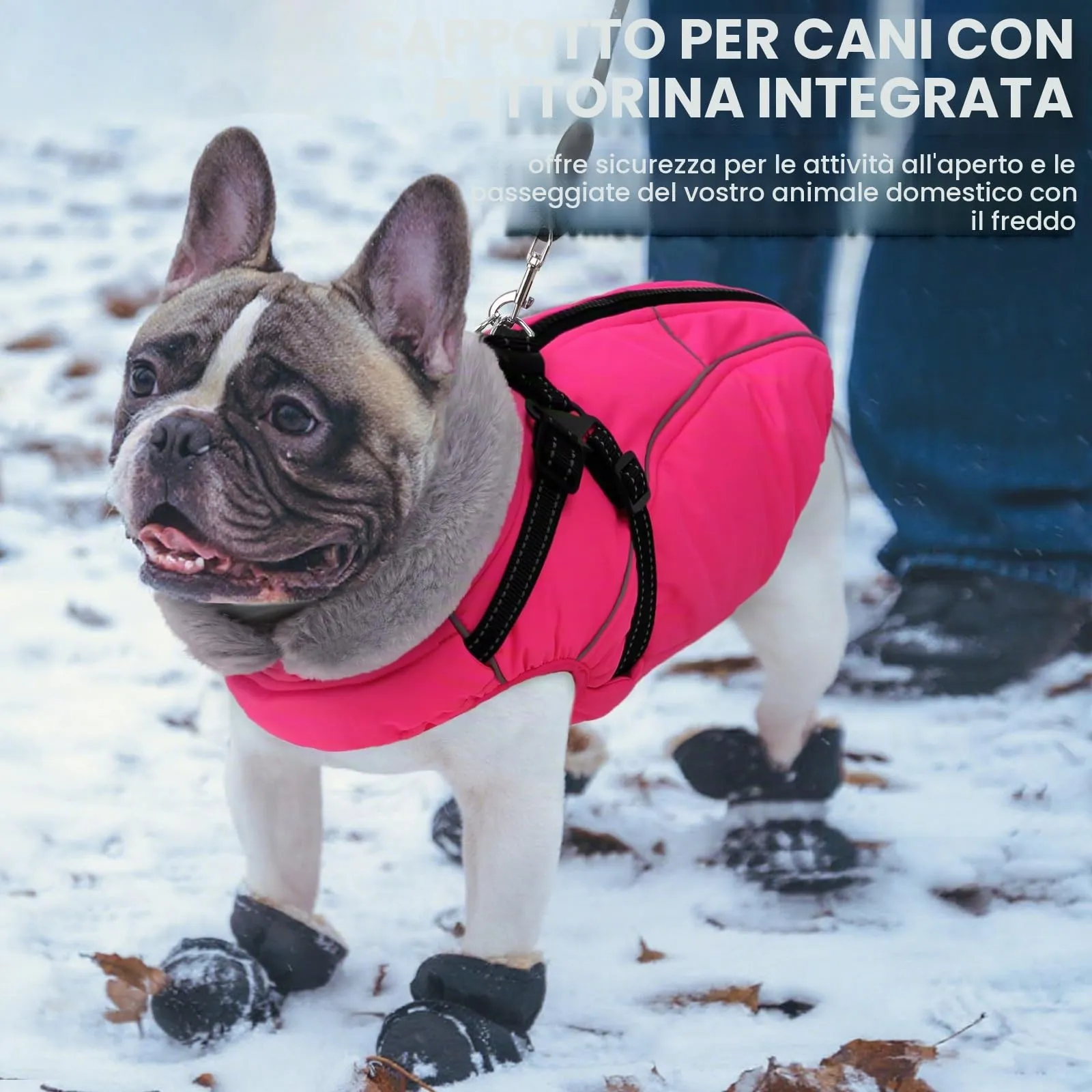 Queenmore Cappotto Cane Taglia Grande Impermeabile Riflettente con Arnese - immagine 4