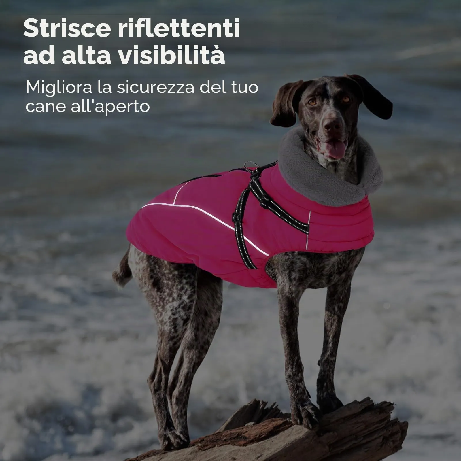 Queenmore Cappotto Cane Taglia Grande Impermeabile Riflettente con Arnese - immagine 5