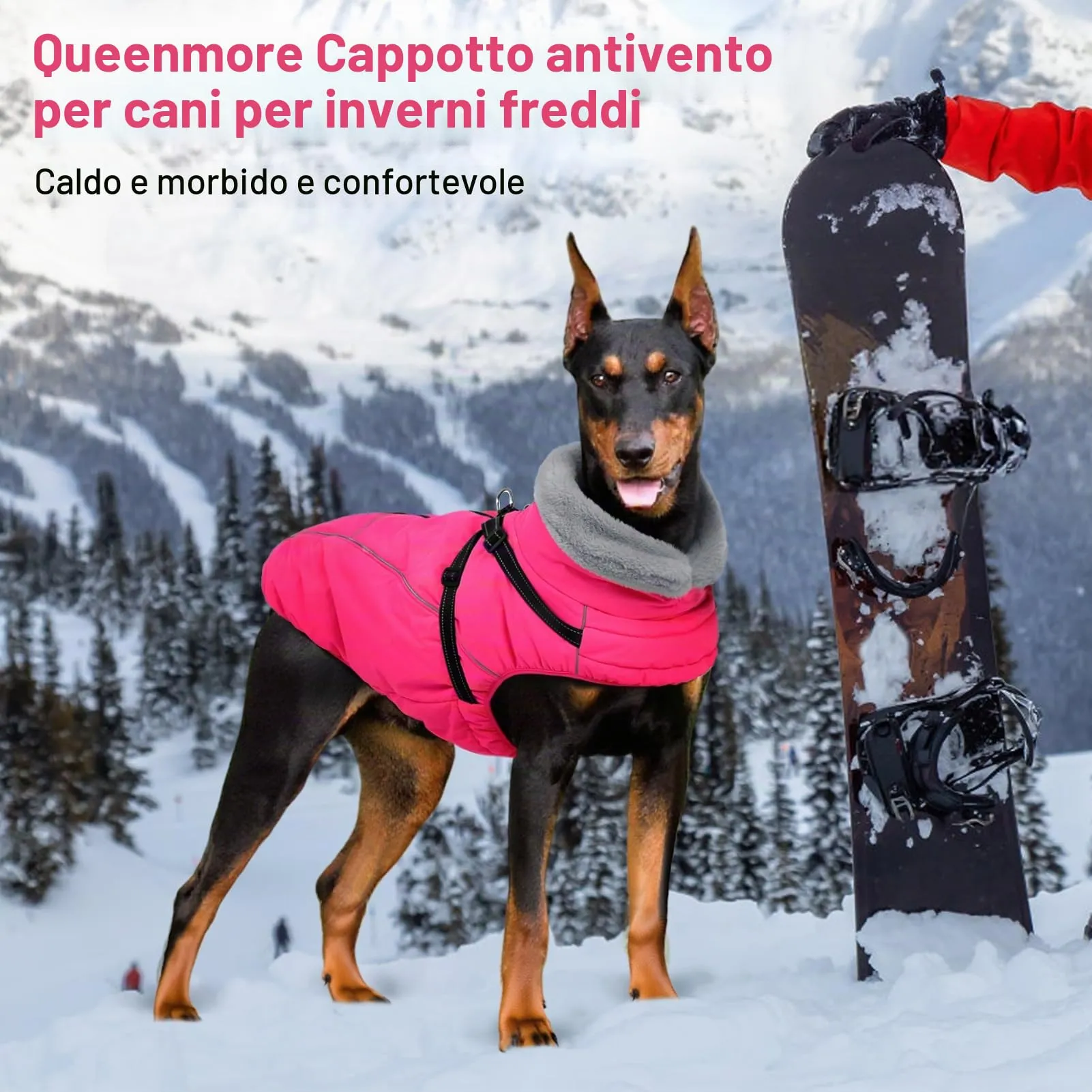 Queenmore Cappotto Cane Taglia Grande Impermeabile Riflettente con Arnese - immagine 6
