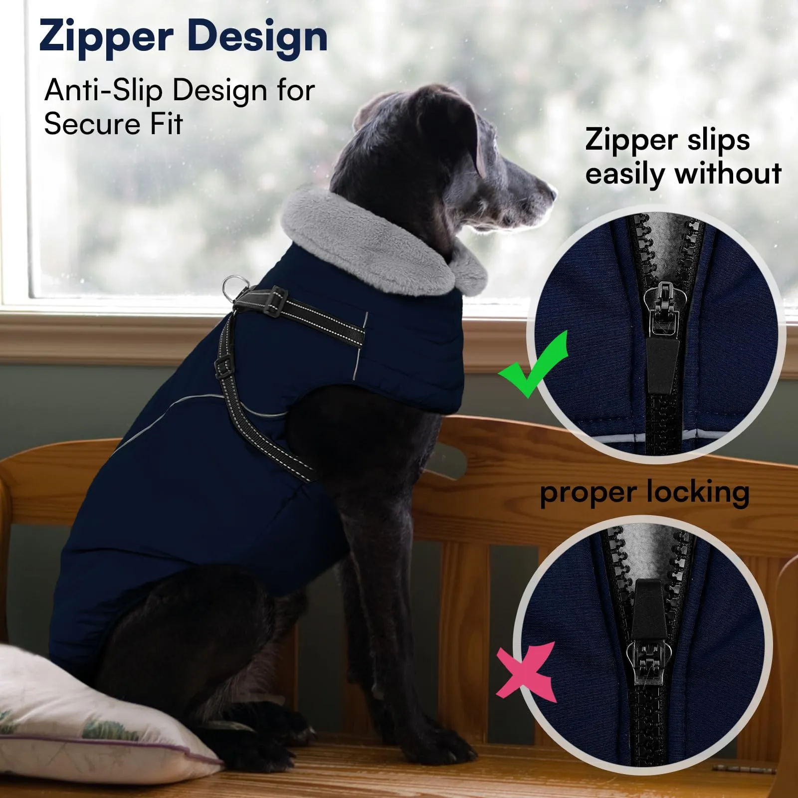 Queenmore Cappotto Cane Taglia Grande Impermeabile Riflettente con Arnese - immagine 7