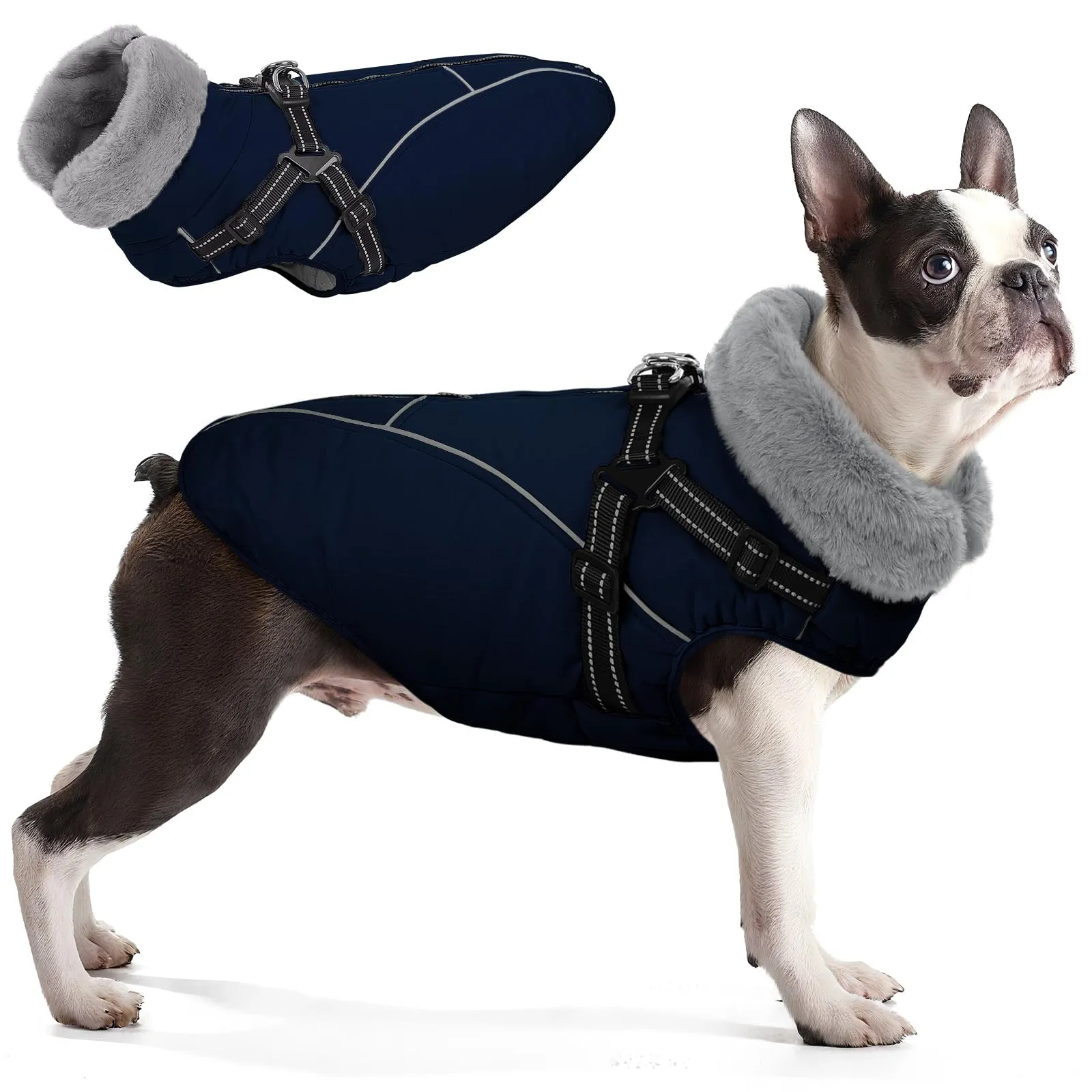 Queenmore Cappotto Impermeabile Cane Riflettente Cappottino Cane con Arnese - immagine 1