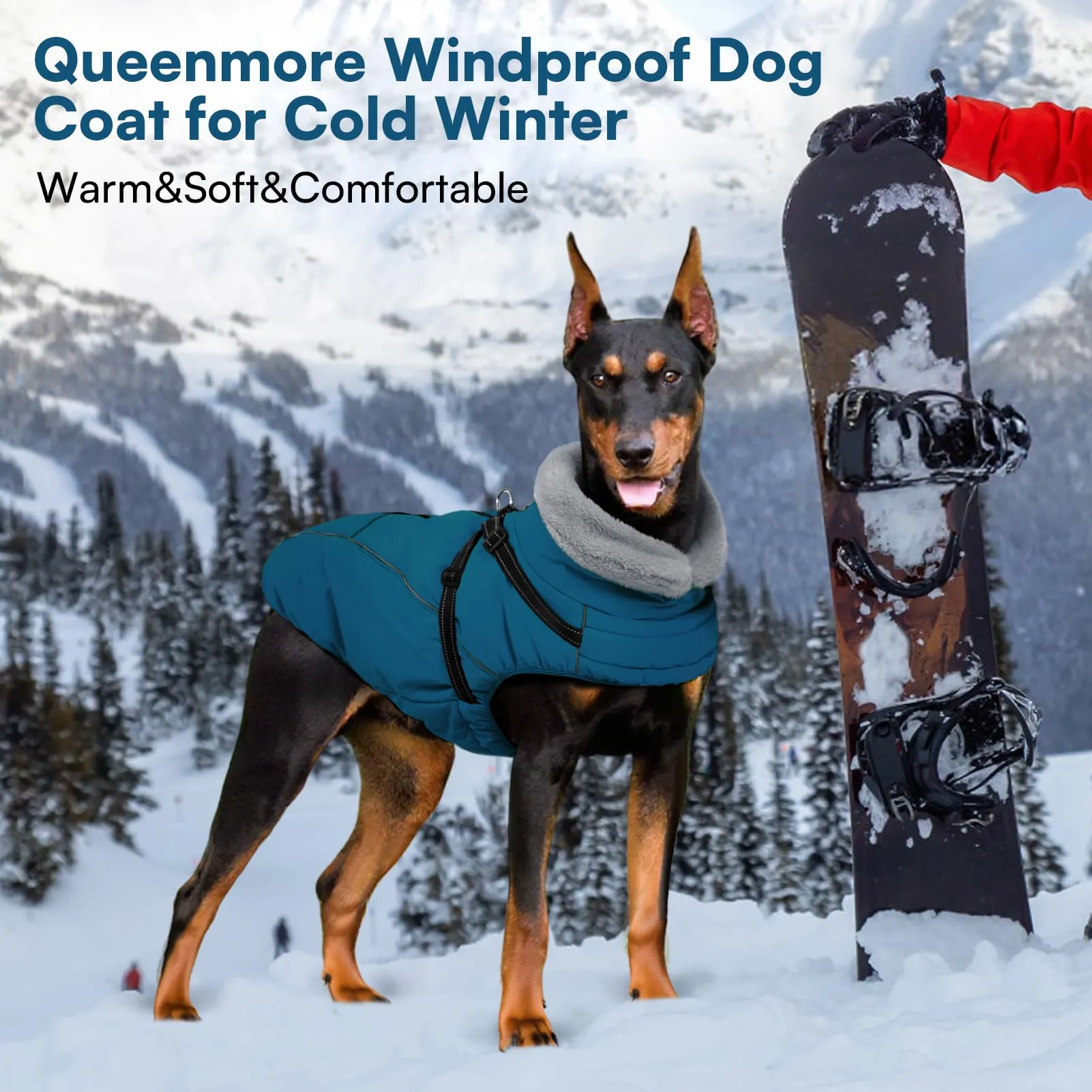 Queenmore Cappotto Cane Taglia Grande Caldo con Arnese Cappottini per Cani - immagine 6