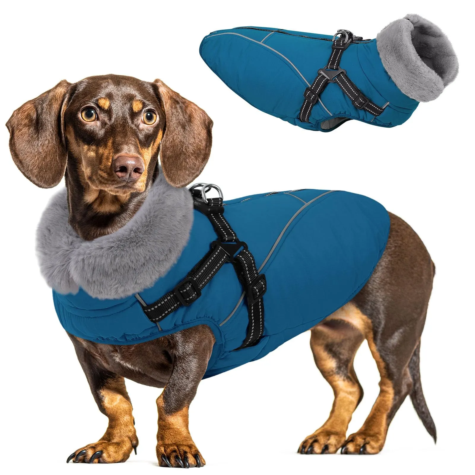 Queenmore Cappottino Cane Taglia Piccola Impermeabile Riflettente - immagine 1