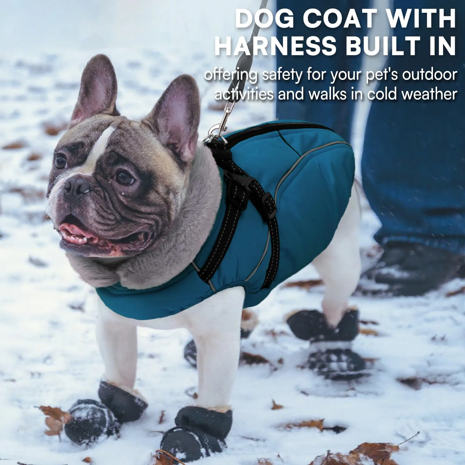 Queenmore Cappotto Cane Taglia Grande XXL, Cappottini per Cani con Arnese - immagine 4