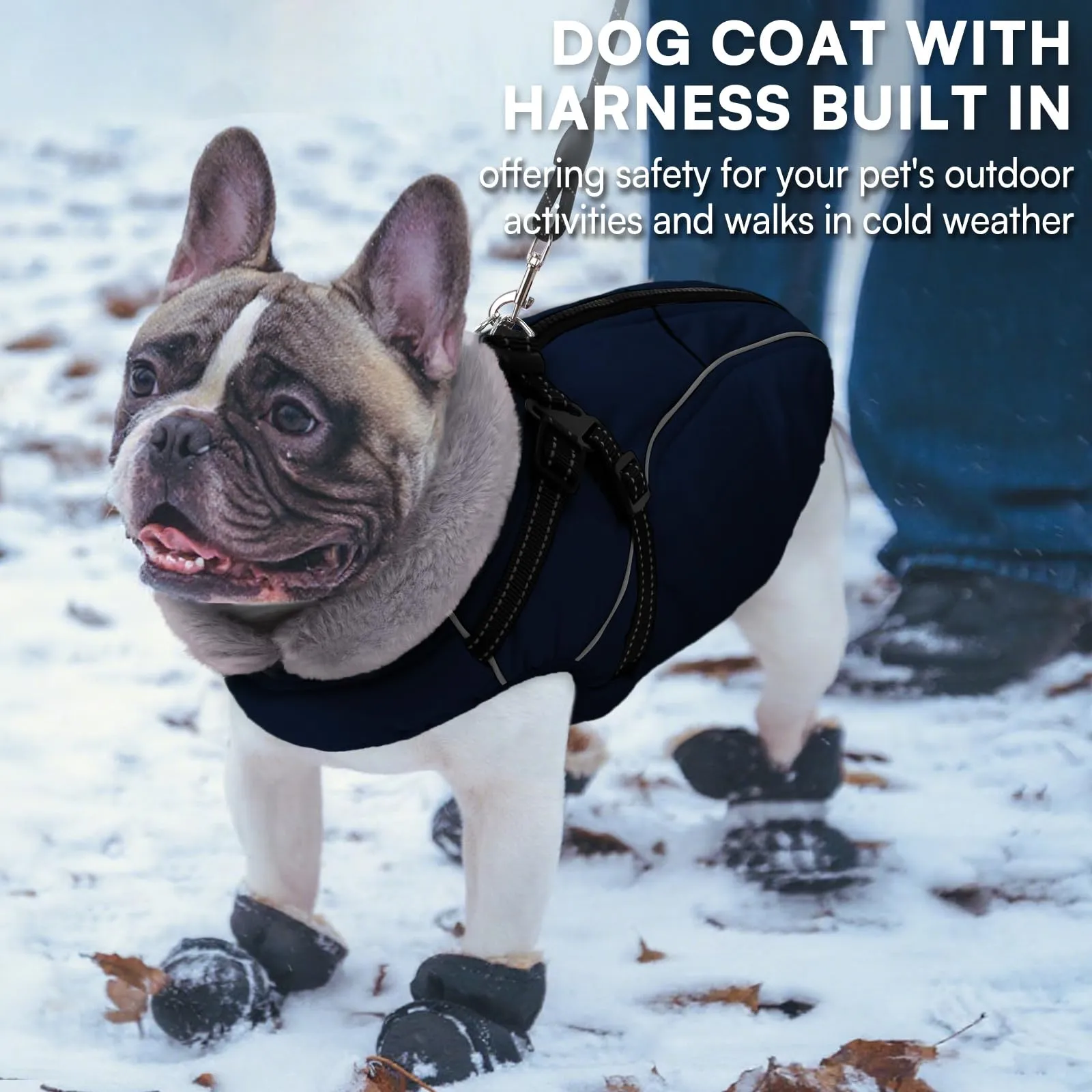 Queenmore Cappottino Cane Taglia Piccola XS, Cappotto Cane Impermeabile - immagine 4