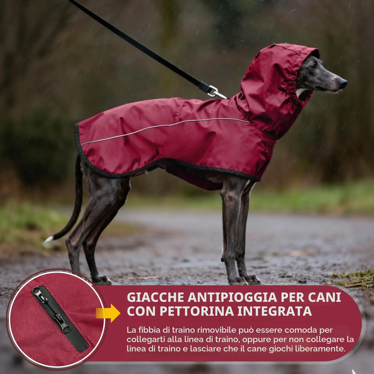 Mosucoirl Giacca da Impermeabile per Cani Cappuccio Riflettente Cappuccio da Pioggia per Animali Domestici Poncho con Vestiti per Cani Piccoli e Medi (Rosso, S) - immagine 5