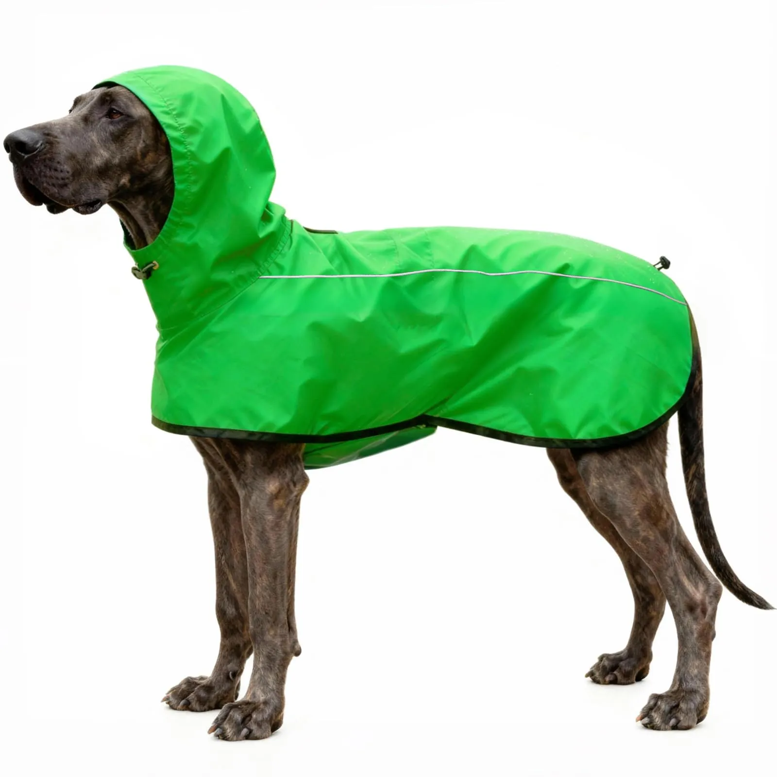 Mosucoirl Giacca da Impermeabile per Cani Cappuccio Riflettente Cappuccio da Pioggia per Animali Domestici Poncho con Vestiti per Cani Piccoli e Medi (Verde, L) - immagine 1