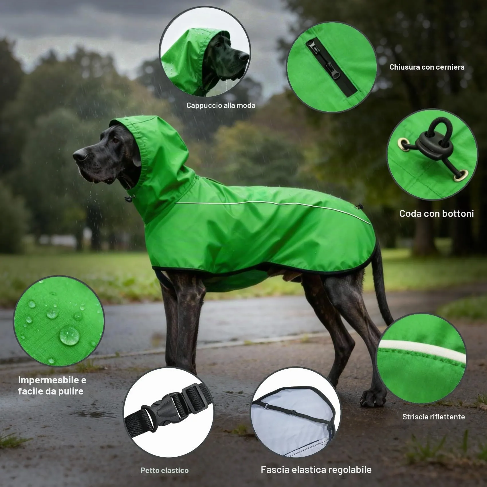 Mosucoirl Giacca da Impermeabile per Cani Cappuccio Riflettente Cappuccio da Pioggia per Animali Domestici Poncho con Vestiti per Cani Piccoli e Medi (Verde, L) - immagine 6