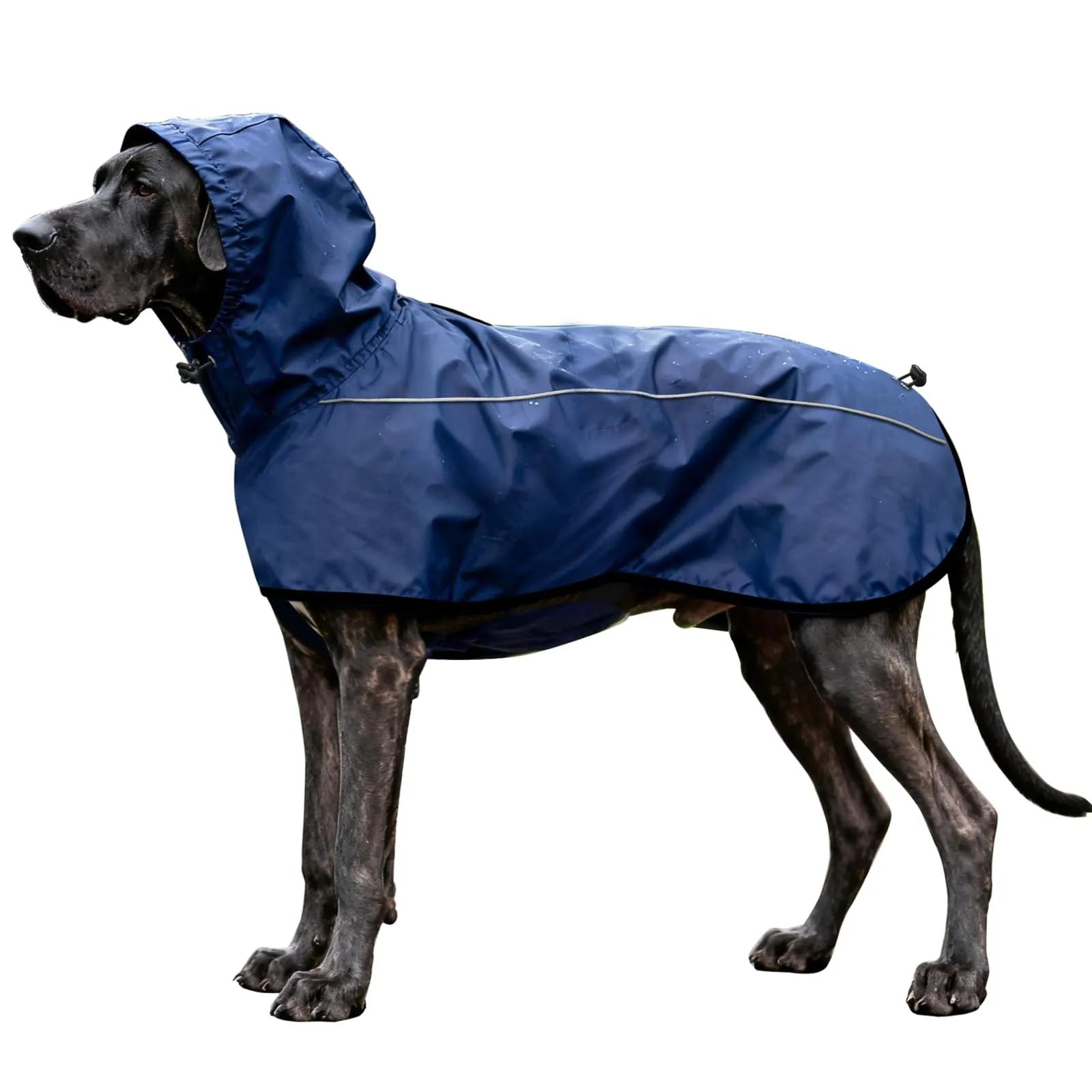 Mosucoirl Giacca da Impermeabile per Cani Cappuccio Riflettente Cappuccio da Pioggia per Animali Domestici Poncho con Vestiti per Cani Piccoli e Medi (Blu Navio, M) - immagine 1