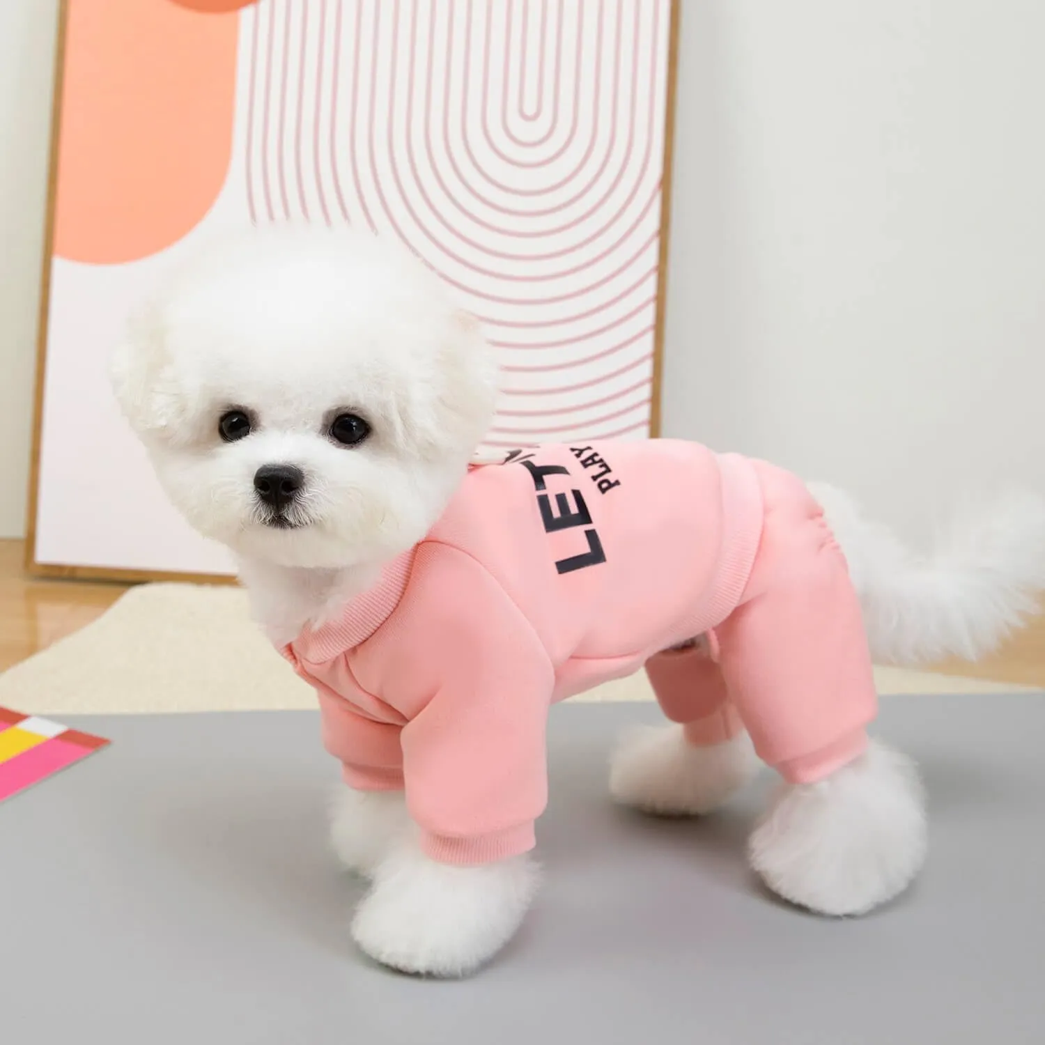 Izefia Felpa per Cani Felpe con Cappuccio Abbigliamento Let's Go Tuta a 4 Gambe Pile Maglione Senza Cappuccio Felpa Girocollo in Cotone Caldo Invernale per Cani di Piccola Taglia Gatto Medio - immagine 4