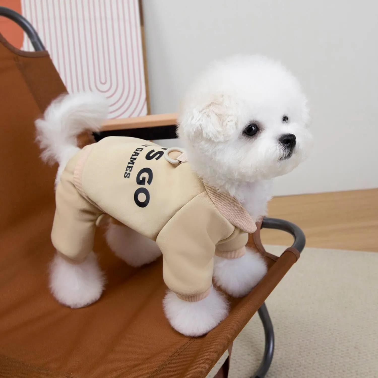 Izefia Felpa per Cani Felpe con Cappuccio Abbigliamento Let's Go Tuta a 4 Gambe Pile Maglione Senza Cappuccio Felpa Girocollo in Cotone Caldo Invernale per Cani di Piccola Taglia Gatto Medio - immagine 5