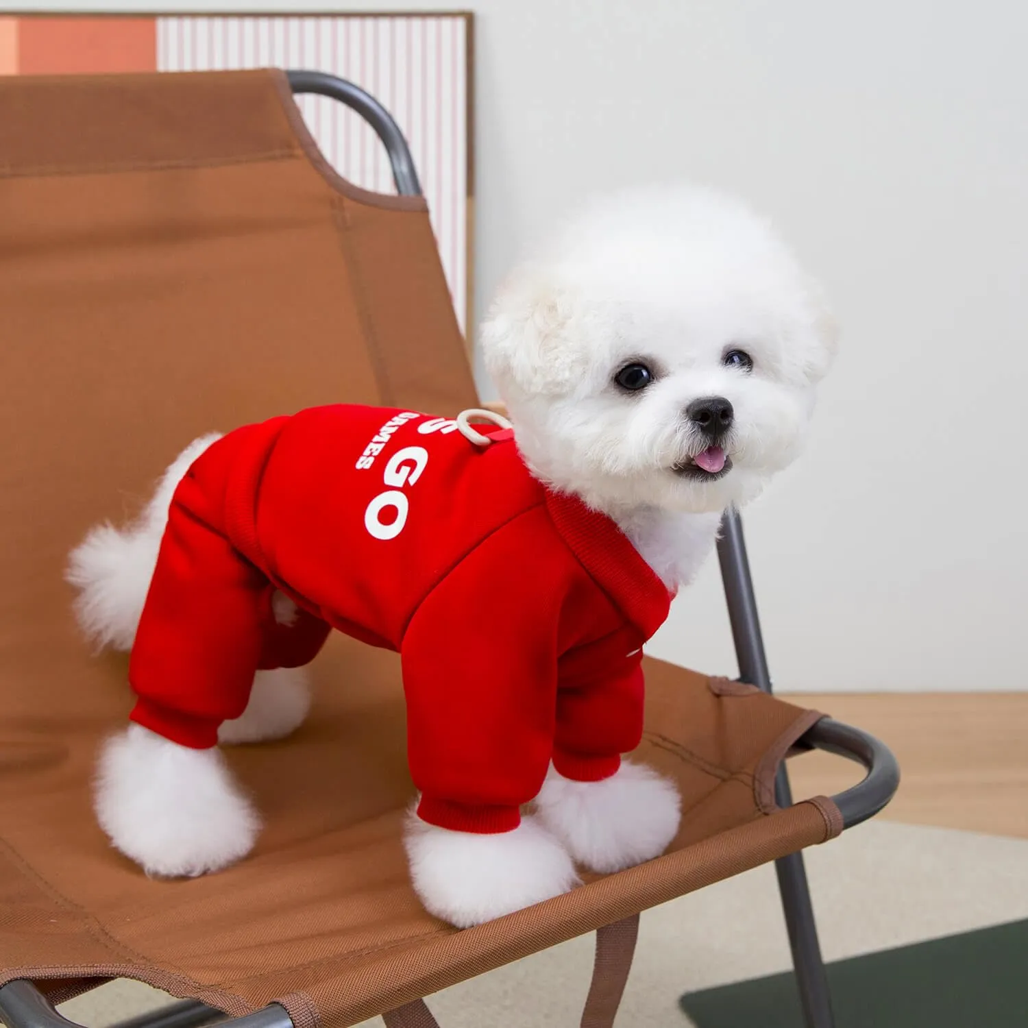 Izefia Felpa per Cani Felpe con Cappuccio Abbigliamento Let's Go Tuta a 4 Gambe Pile Maglione Senza Cappuccio Felpa Girocollo in Cotone Caldo Invernale per Cani di Piccola Taglia Gatto Medio - immagine 4