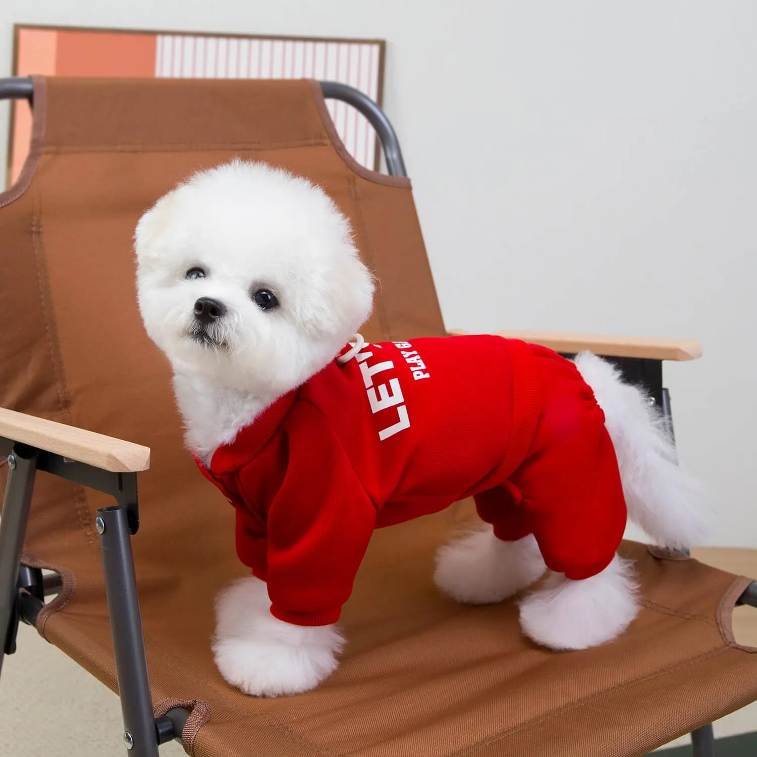 Izefia Felpa per Cani Felpe con Cappuccio Abbigliamento Let's Go Tuta a 4 Gambe Pile Maglione Senza Cappuccio Felpa Girocollo in Cotone Caldo Invernale per Cani di Piccola Taglia Gatto Medio - immagine 7