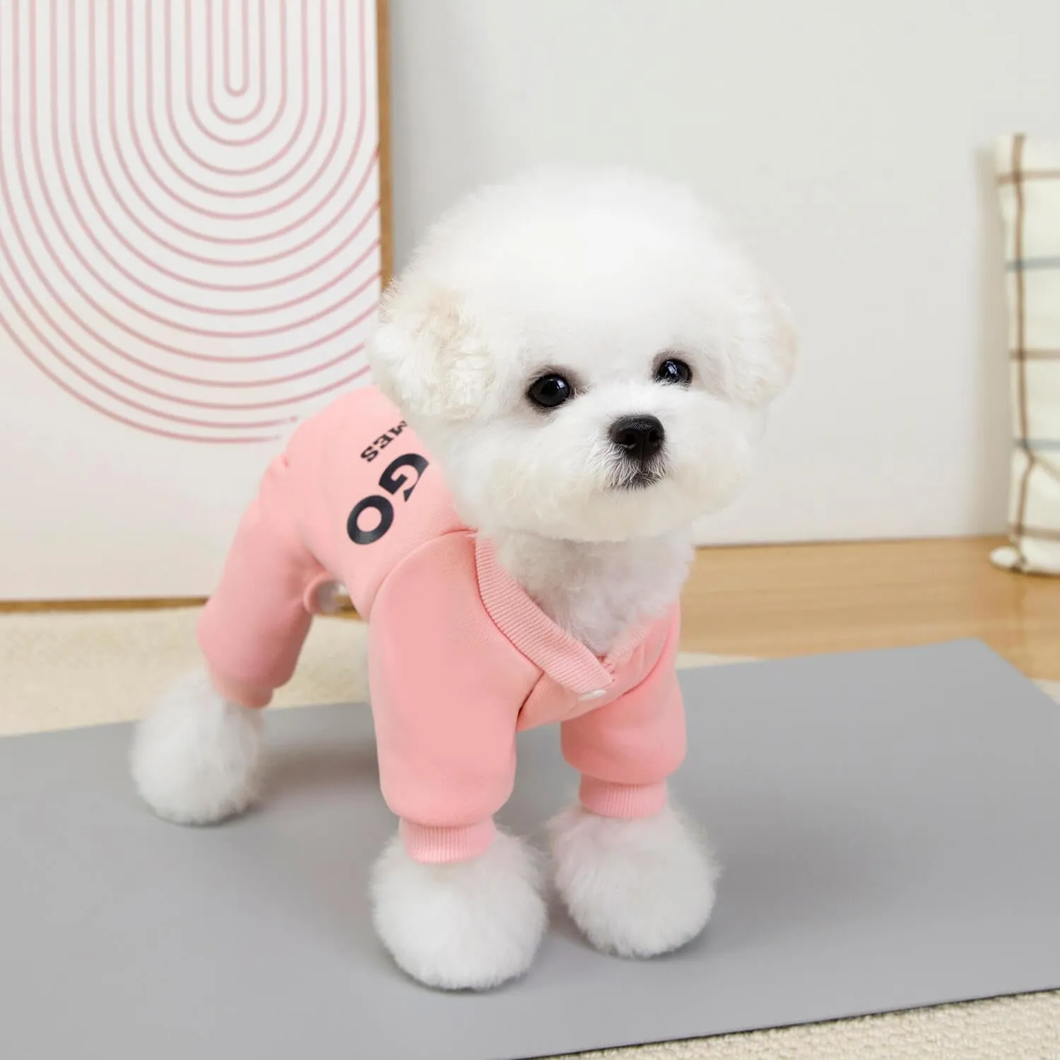 Izefia Felpa per Cani Felpe con Cappuccio Abbigliamento Let's Go Tuta a 4 Gambe Pile Maglione Senza Cappuccio Felpa Girocollo in Cotone Caldo Invernale per Cani di Piccola Taglia Gatto Medio - immagine 5
