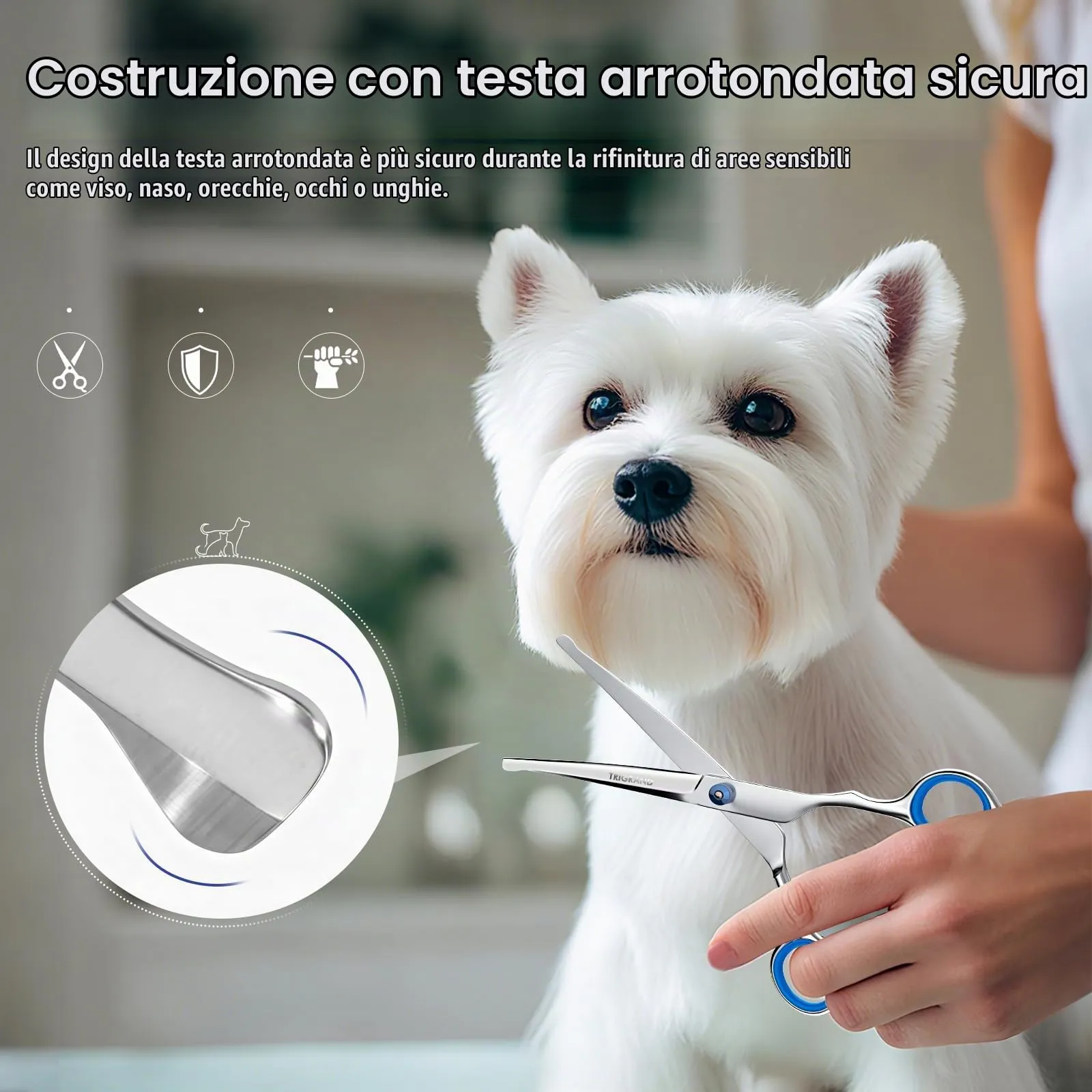 Forbici Toelettatura Cani, Acciaio Antiruggine, Punte Arrotondate Sicure, Rivestimento In Titanio, Tosatrice Professionale Per Cani Per Rifinire Muso, Zampe E Coda, Rosa - immagine 2