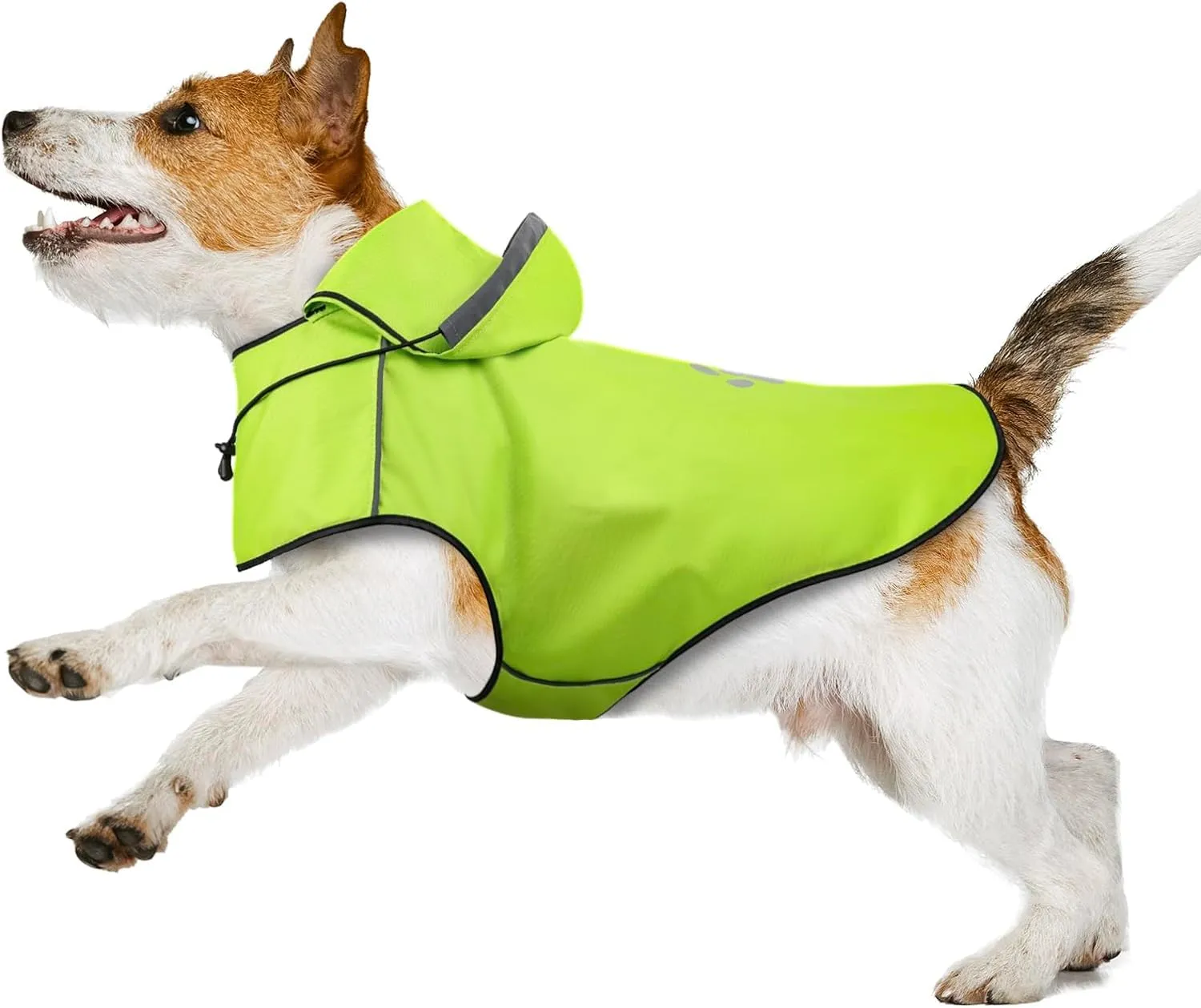 Impermeabile per cani in tessuto Oxford verde – 100% impermeabile con cappuccio e dettagli riflettenti, ultraleggero con foro per pettorina (taglia piccola) - immagine 1