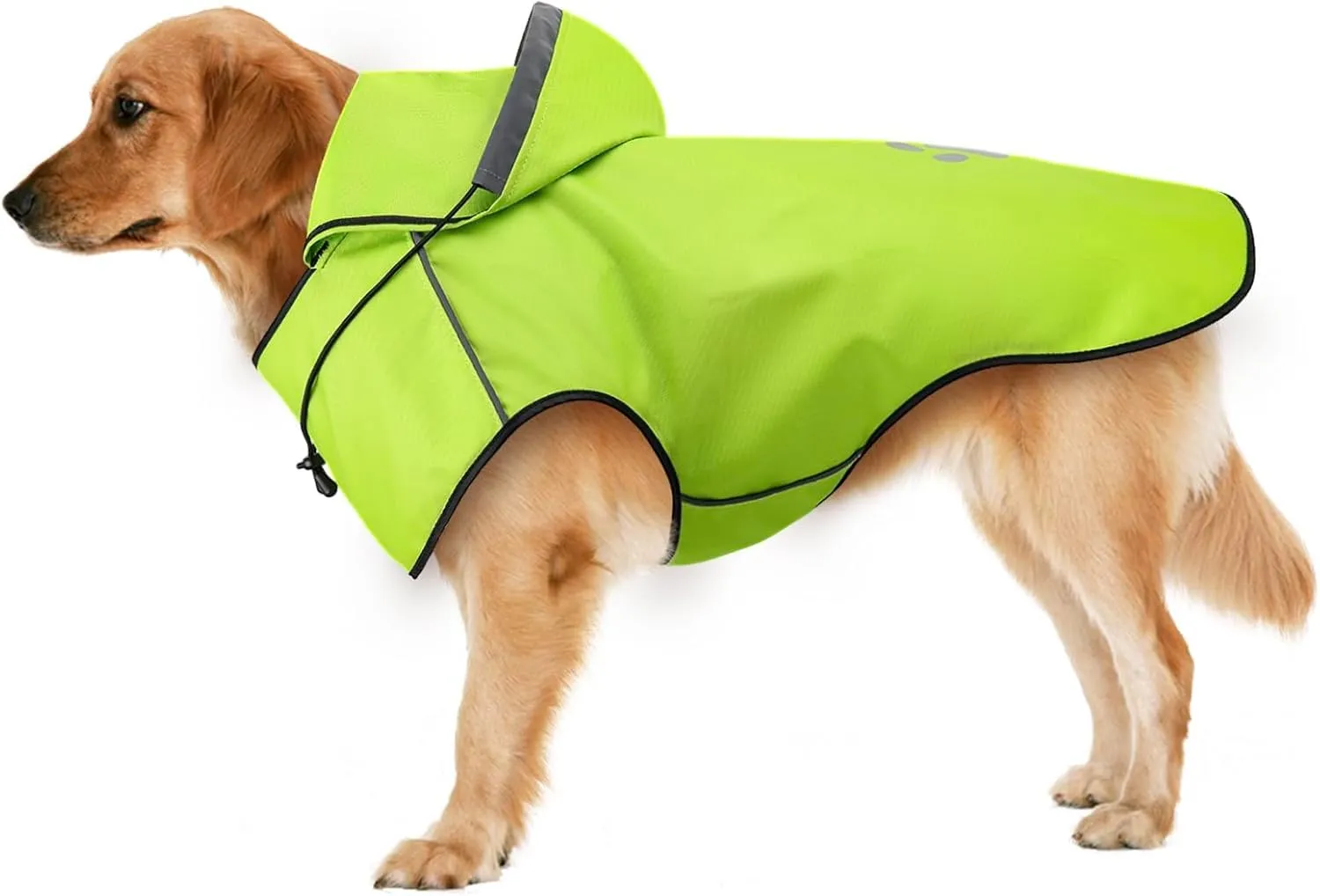 Cappotto impermeabile per cani – Tessuto Oxford verde con cappuccio e bordi riflettenti, ultraleggero con passaggio per pettorina (taglia grande) - immagine 1