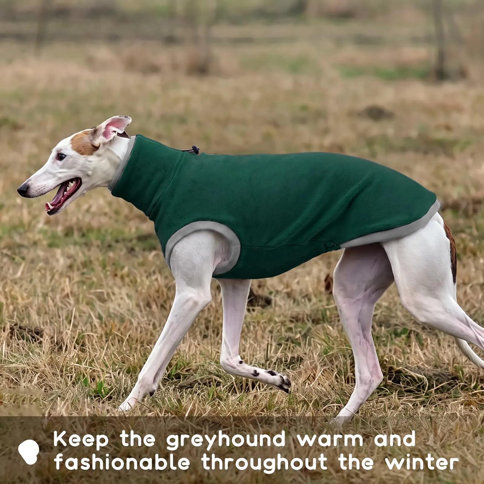 Pigiama in pile per levriero - Cappotto Lurcher - Verde - Taglia 2XL - immagine 6