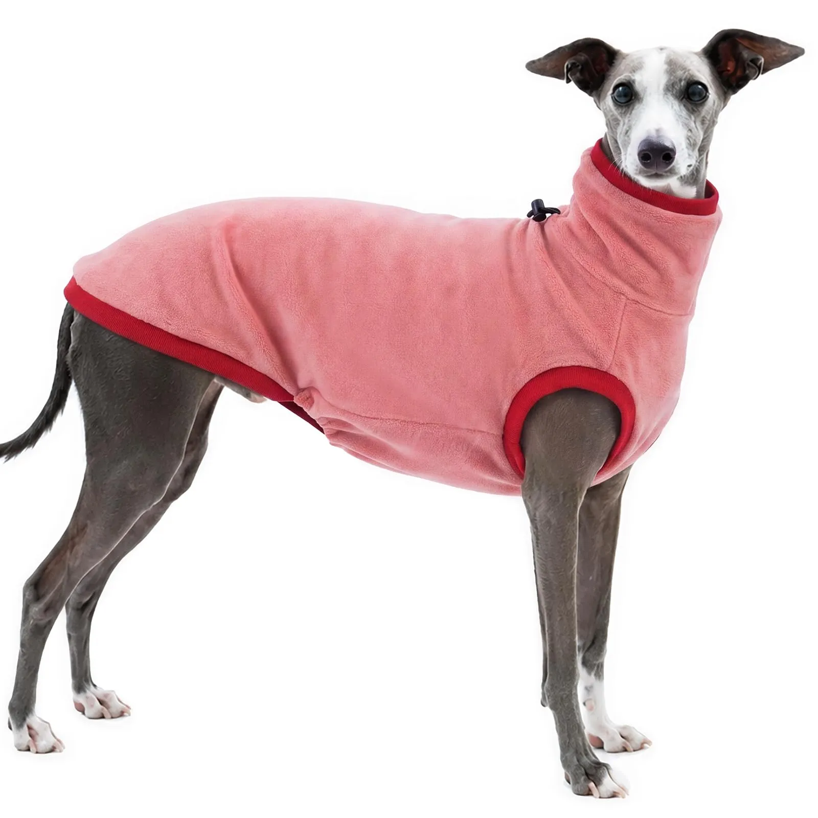 Cappotto da levriero - Calda giacca Lurcher - Rosso - Taglia XL - immagine 1