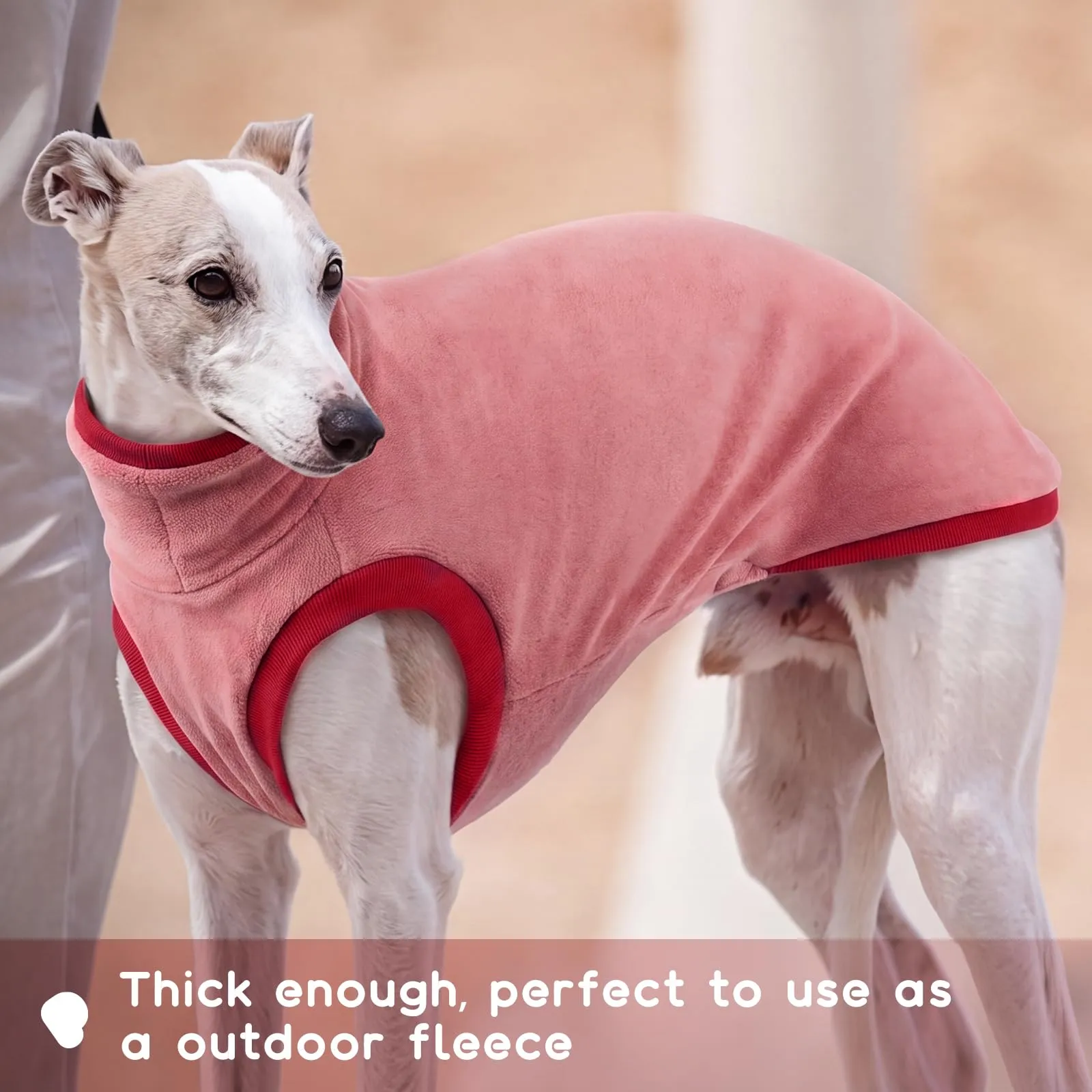 Cappotto da levriero - Calda giacca Lurcher - Rosso - Taglia XL - immagine 5