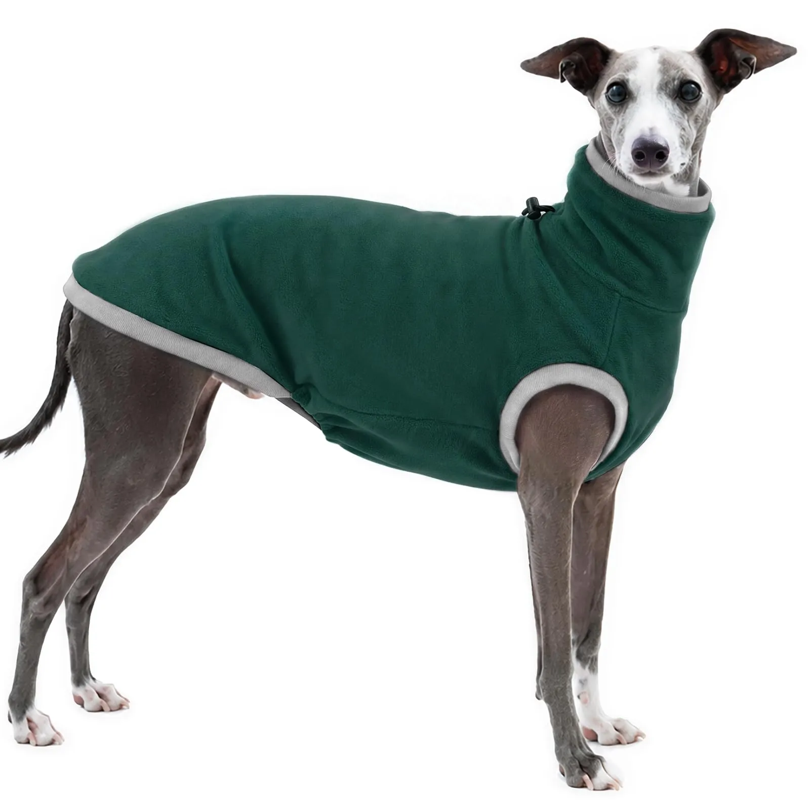 Lurcher Jumper, Lurcher Dog Coats Greyhound Pigiama (verde, L) - immagine 1