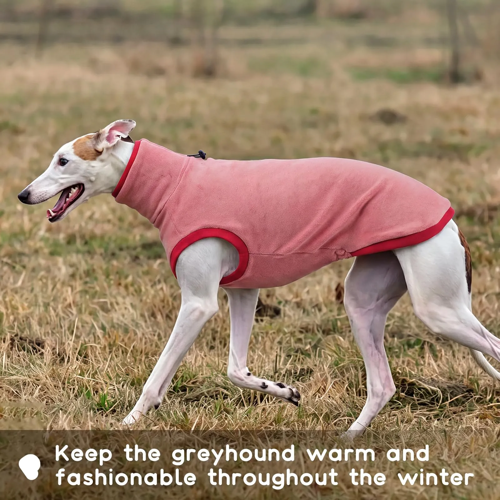 Whippet - Cappotto invernale caldo per levriero italiano, taglia S - immagine 6