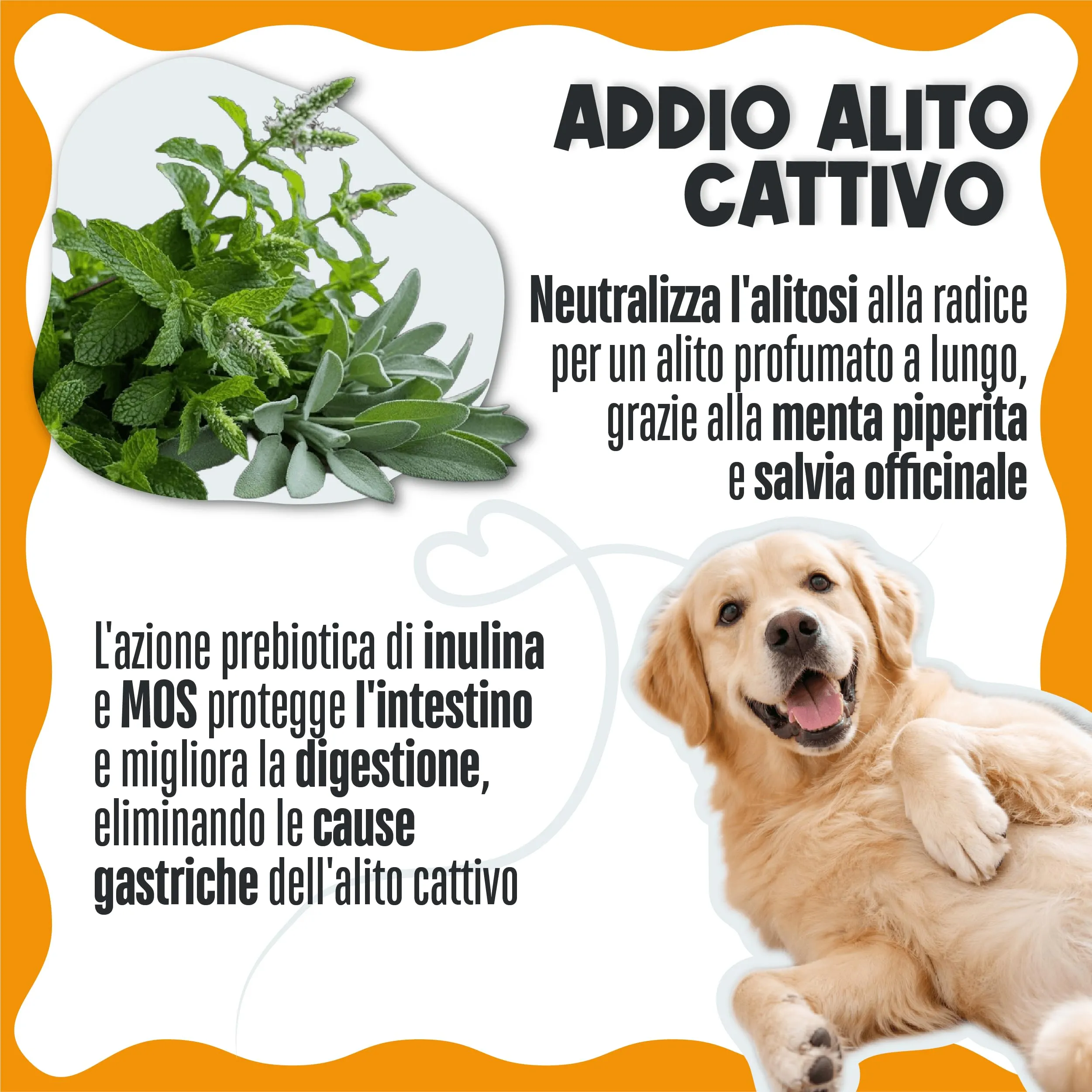 Dental Bright Cani, Pulizia Denti Cane e Gatto. Polvere Dentale Naturale - immagine 4