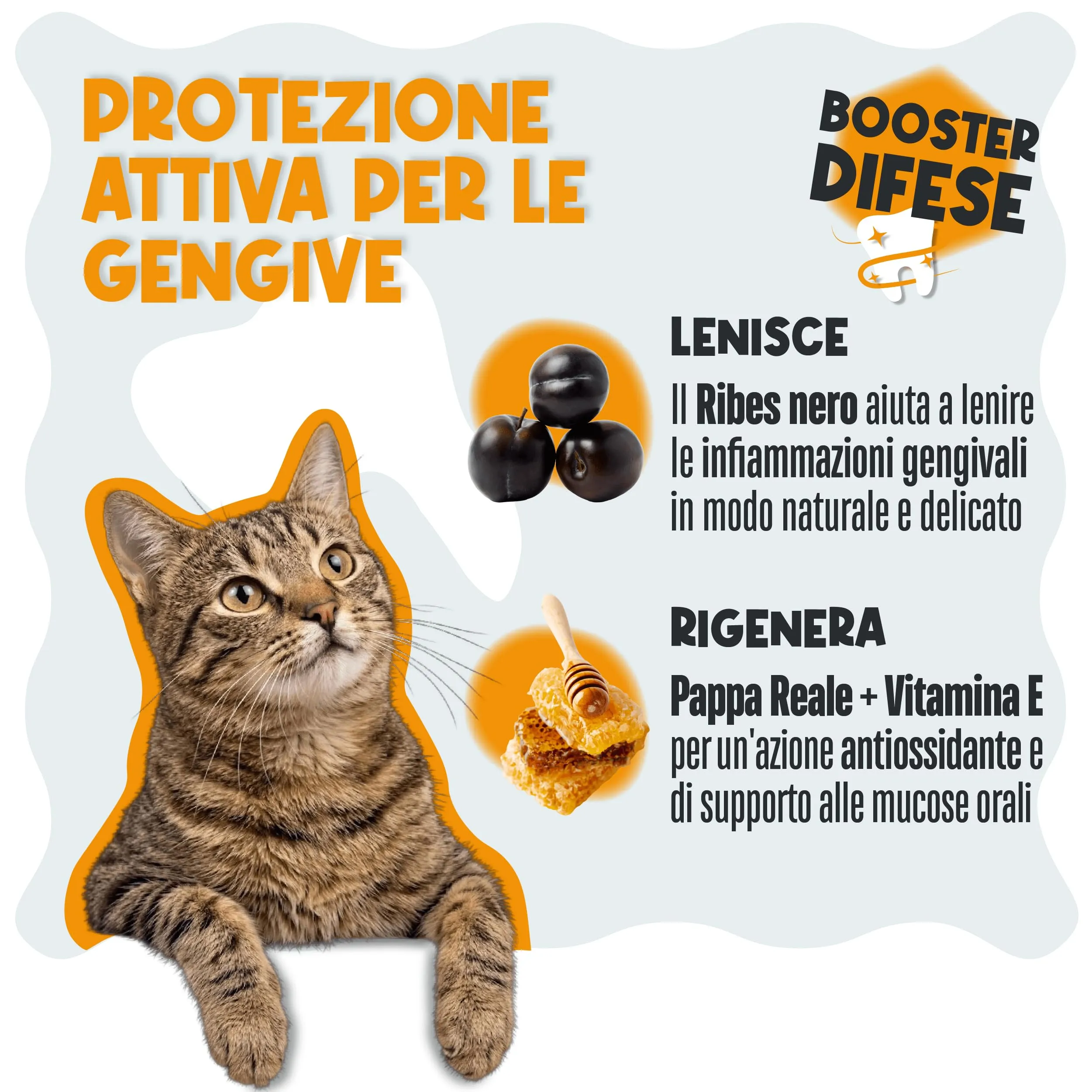 Dental Bright Cani, Pulizia Denti Cane e Gatto. Polvere Dentale Naturale - immagine 5