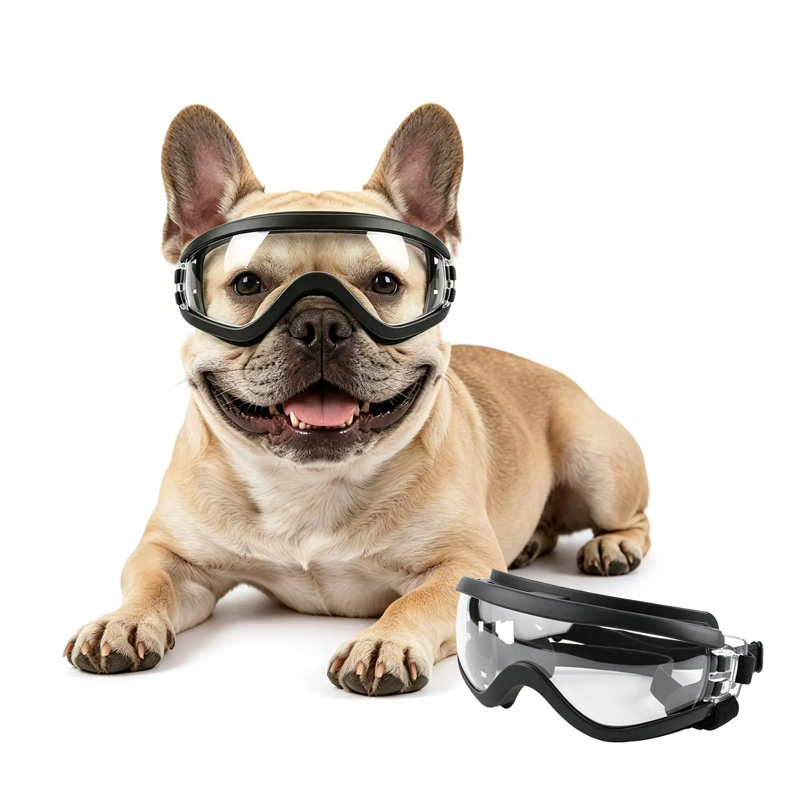 PETLESO Occhiali per cani di taglia media, anti-UV, antivento, con fascia elastica regolabile, occhiali da sole per cani di taglia media, trasparenti, M - immagine 1