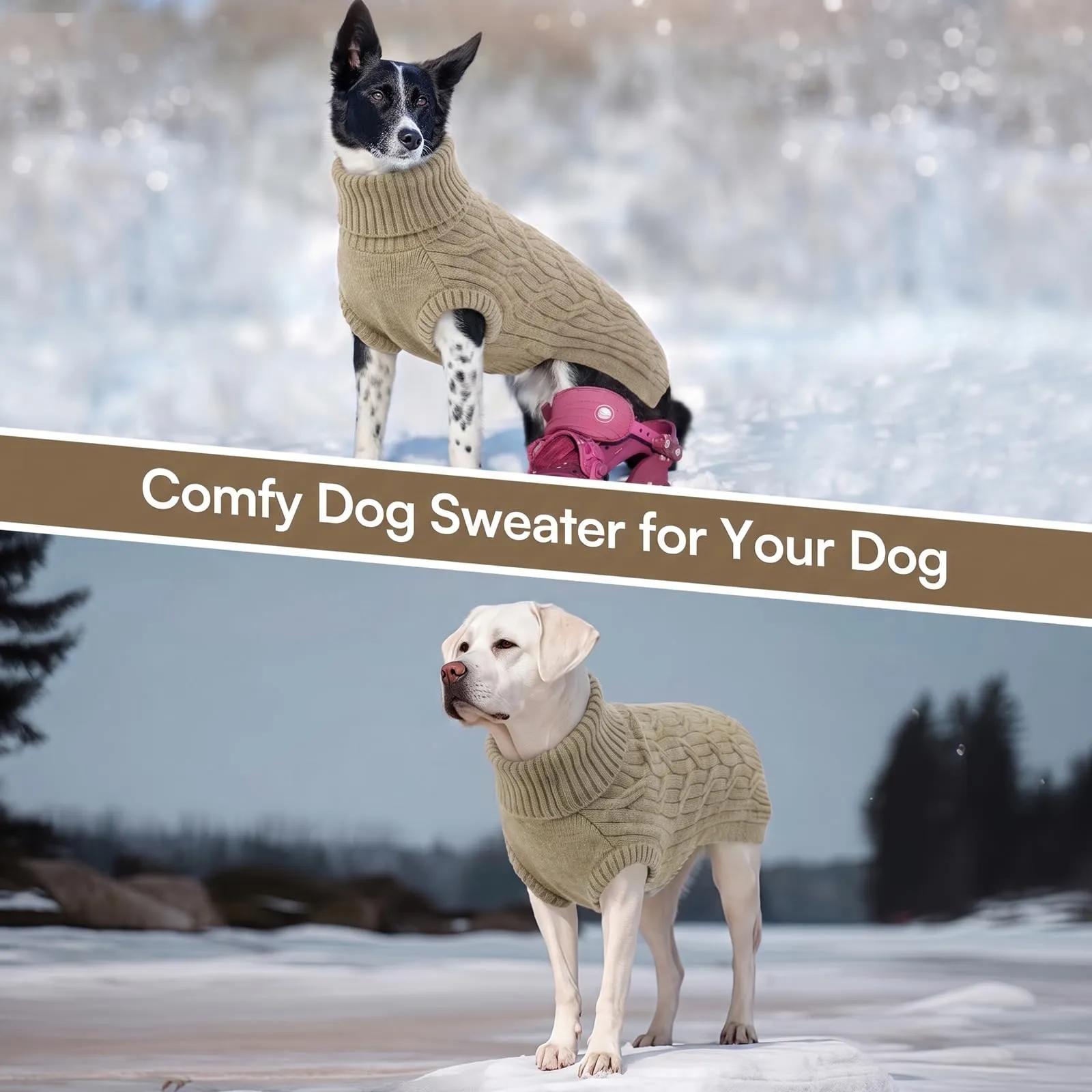 Queenmore Felpa Cane Piccola Vestito Cane Maglioncino Elastico a Dolcevita - immagine 7